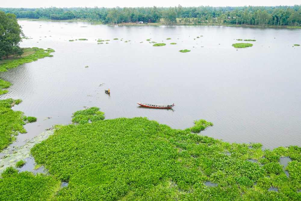 a boat floating on top of a lake surrounded by lush green grass