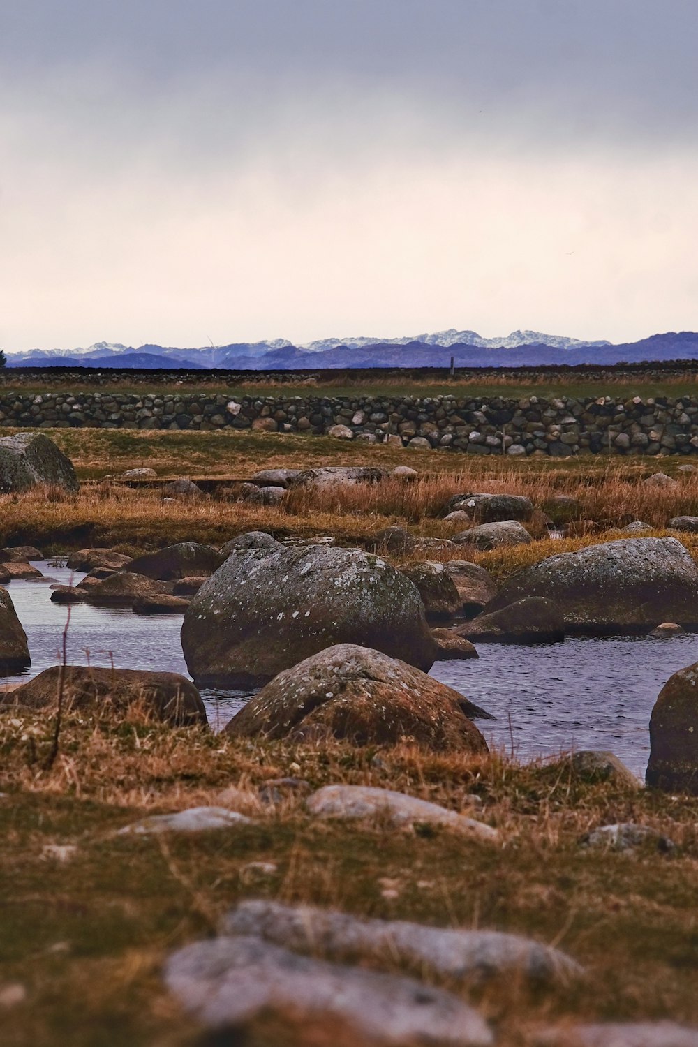 a lone giraffe standing in a field next to a body of water