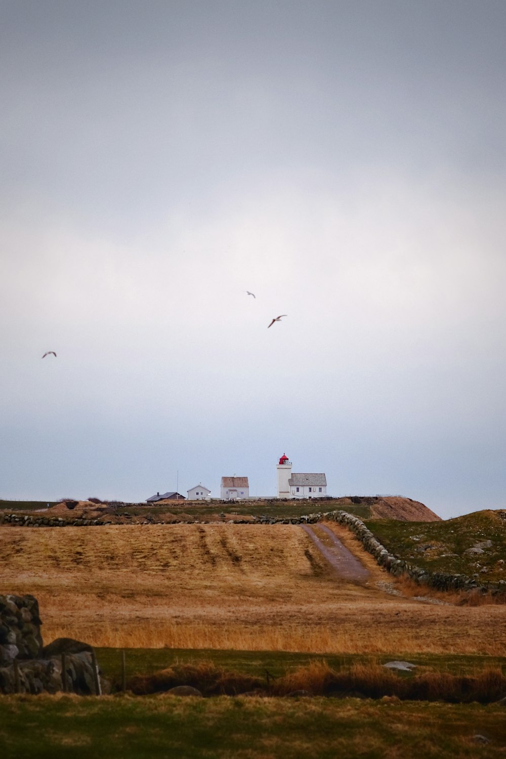 a field with a house and some birds flying in the sky