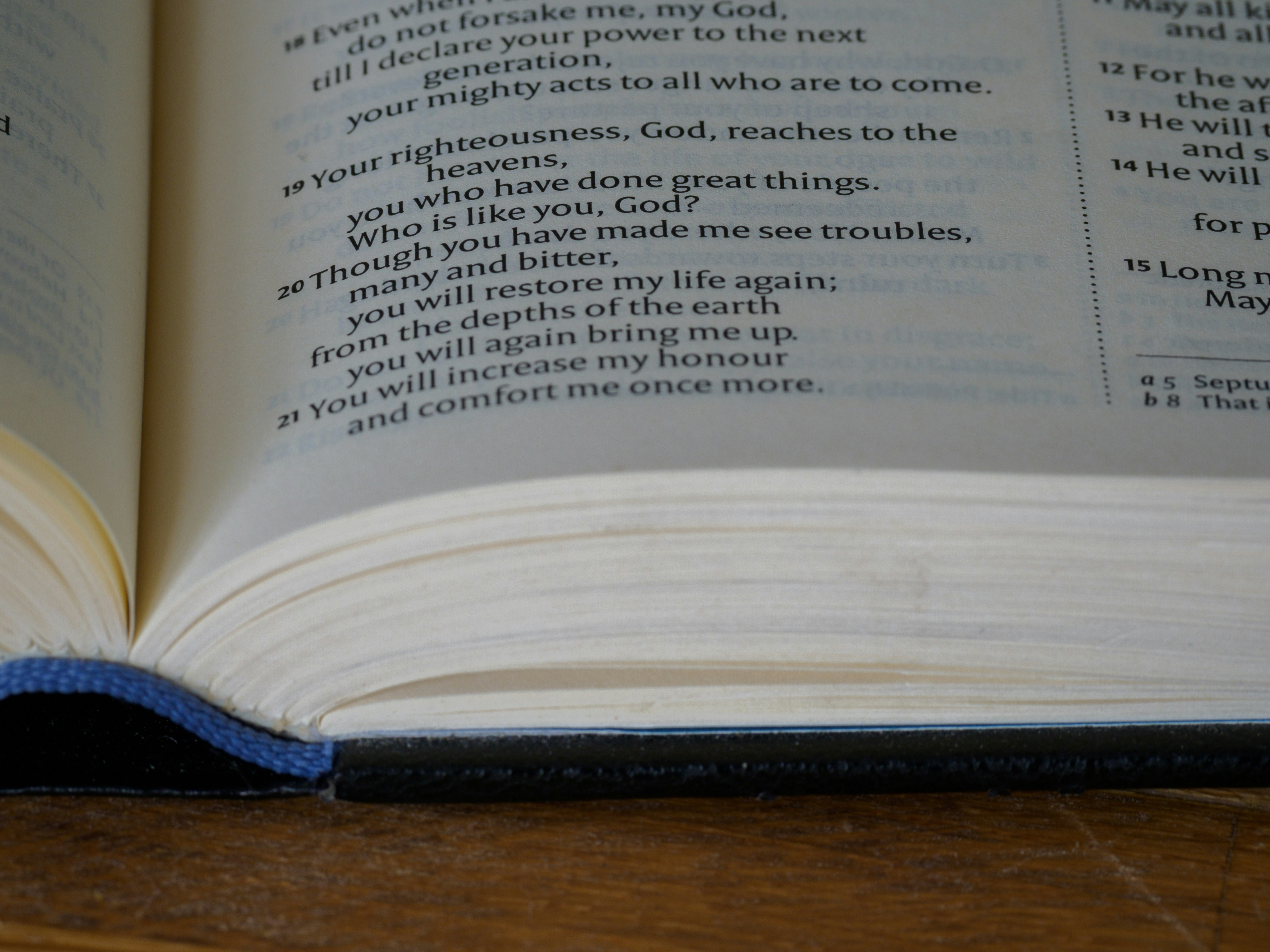 Photo by brett_jordan