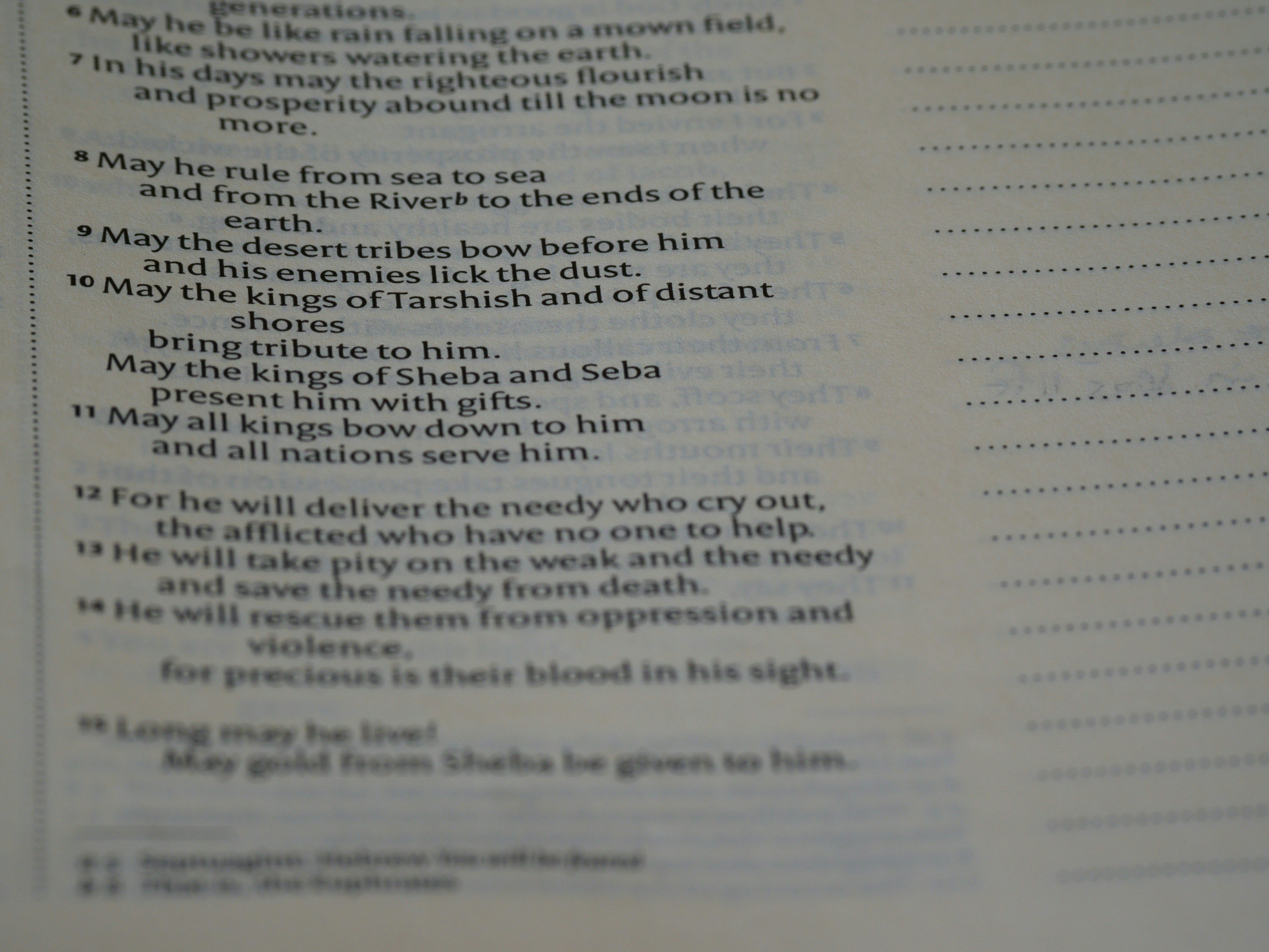 Photo by brett_jordan