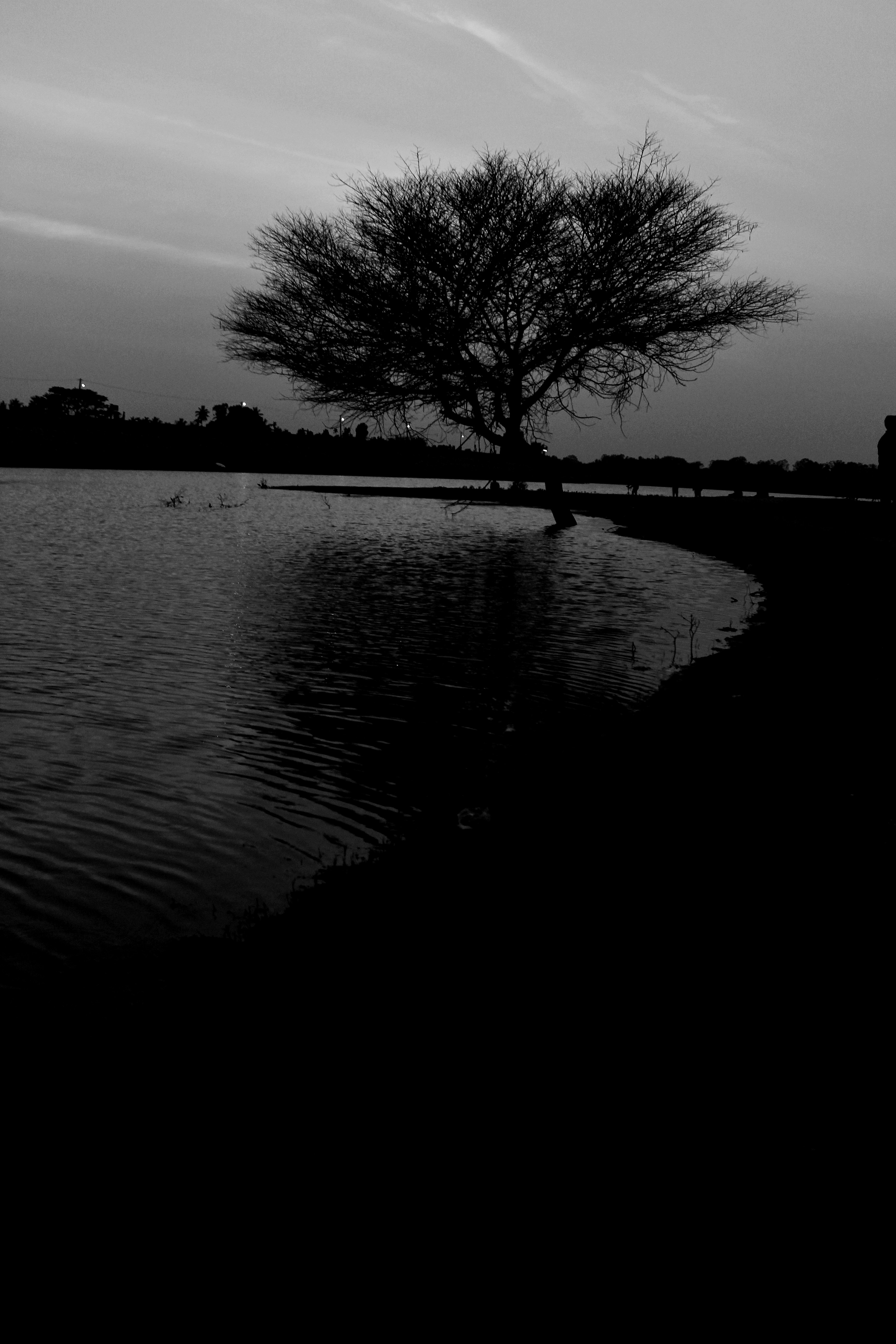 Photo by mansi2399