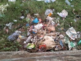 A collection of assorted litter scattered on grass, including plastic bags, wrappers, cardboard, and bottles.