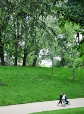 A beautifully landscaped park with walking paths and lush greenery.