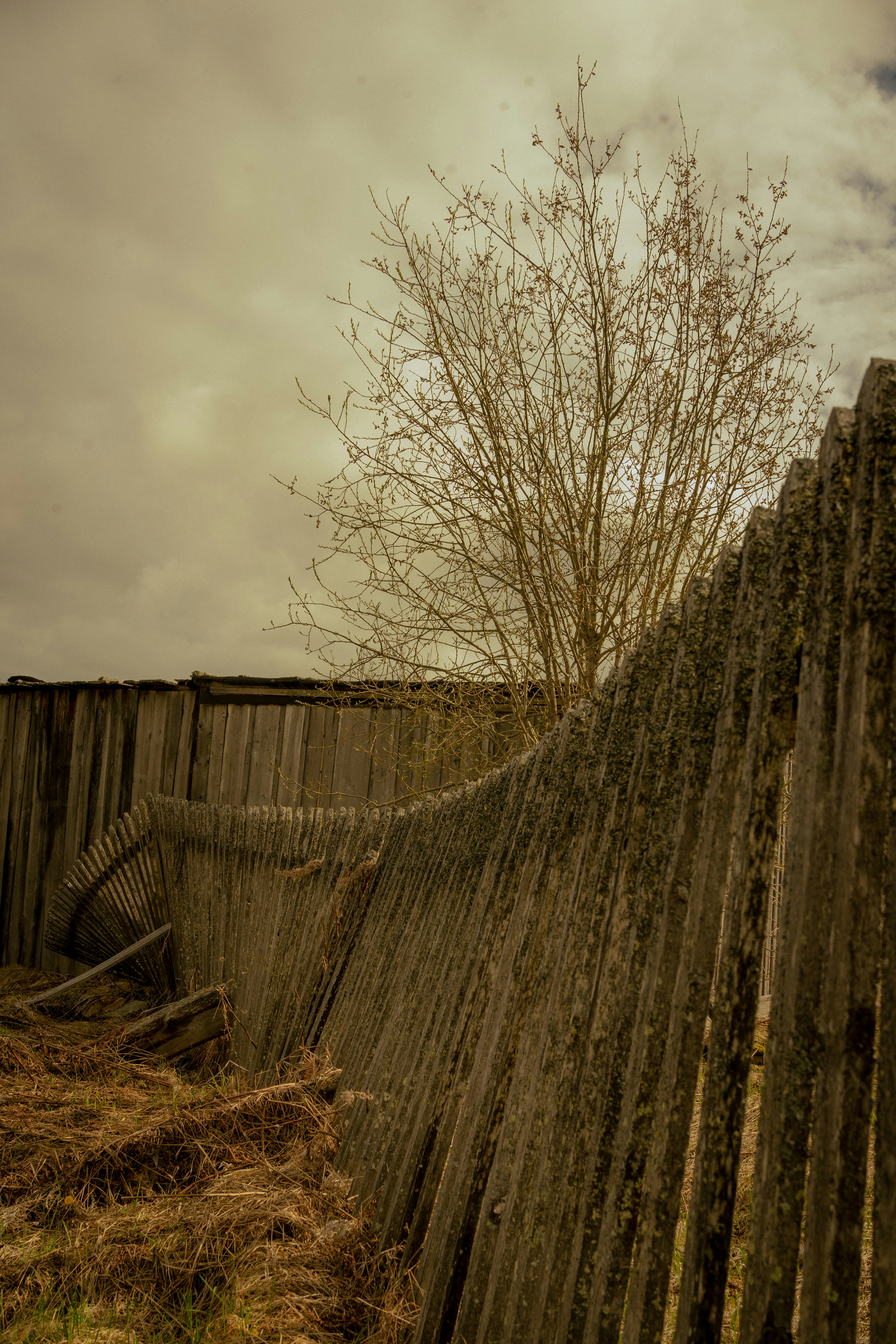 Photo by shklyaevmax