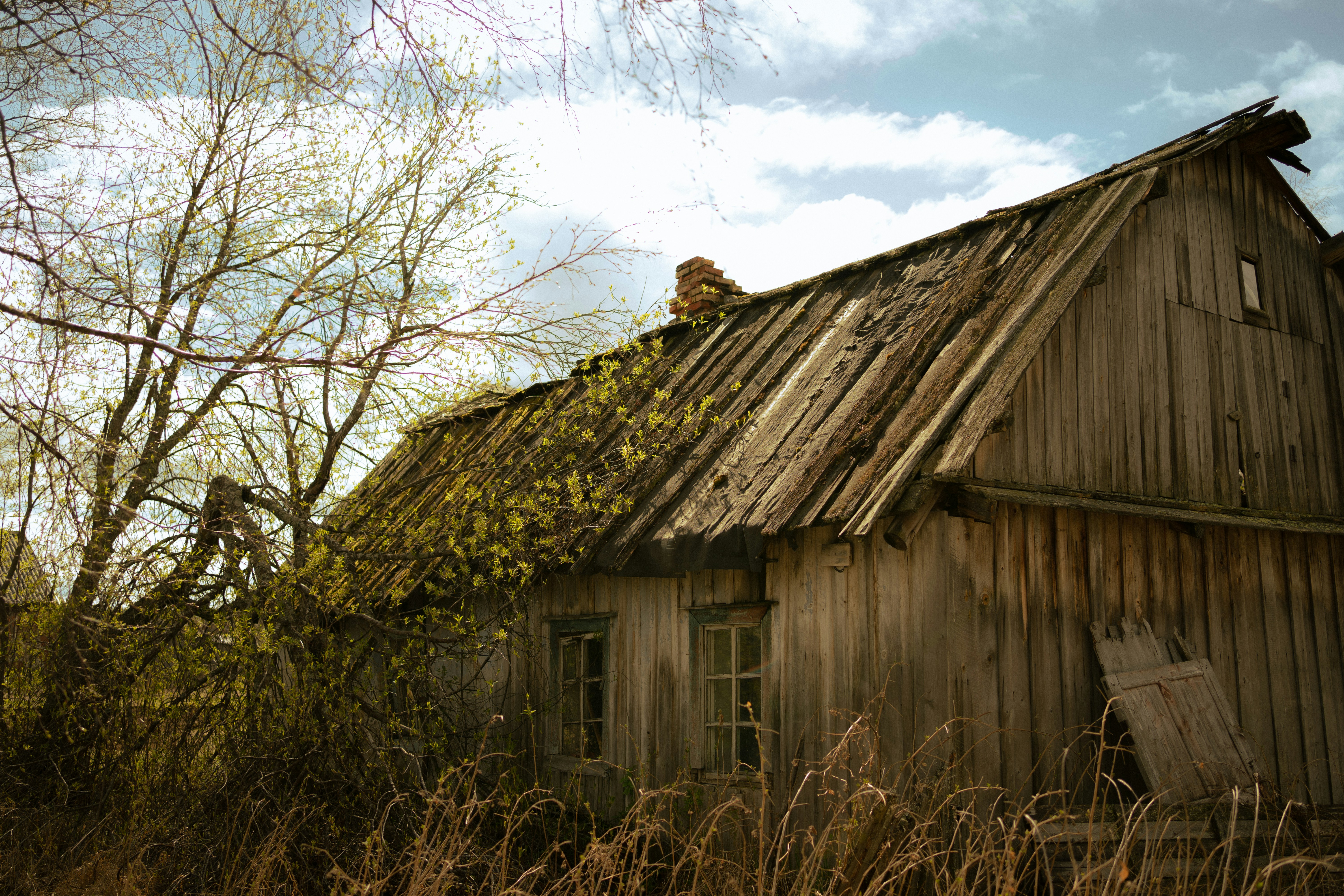 Photo by shklyaevmax