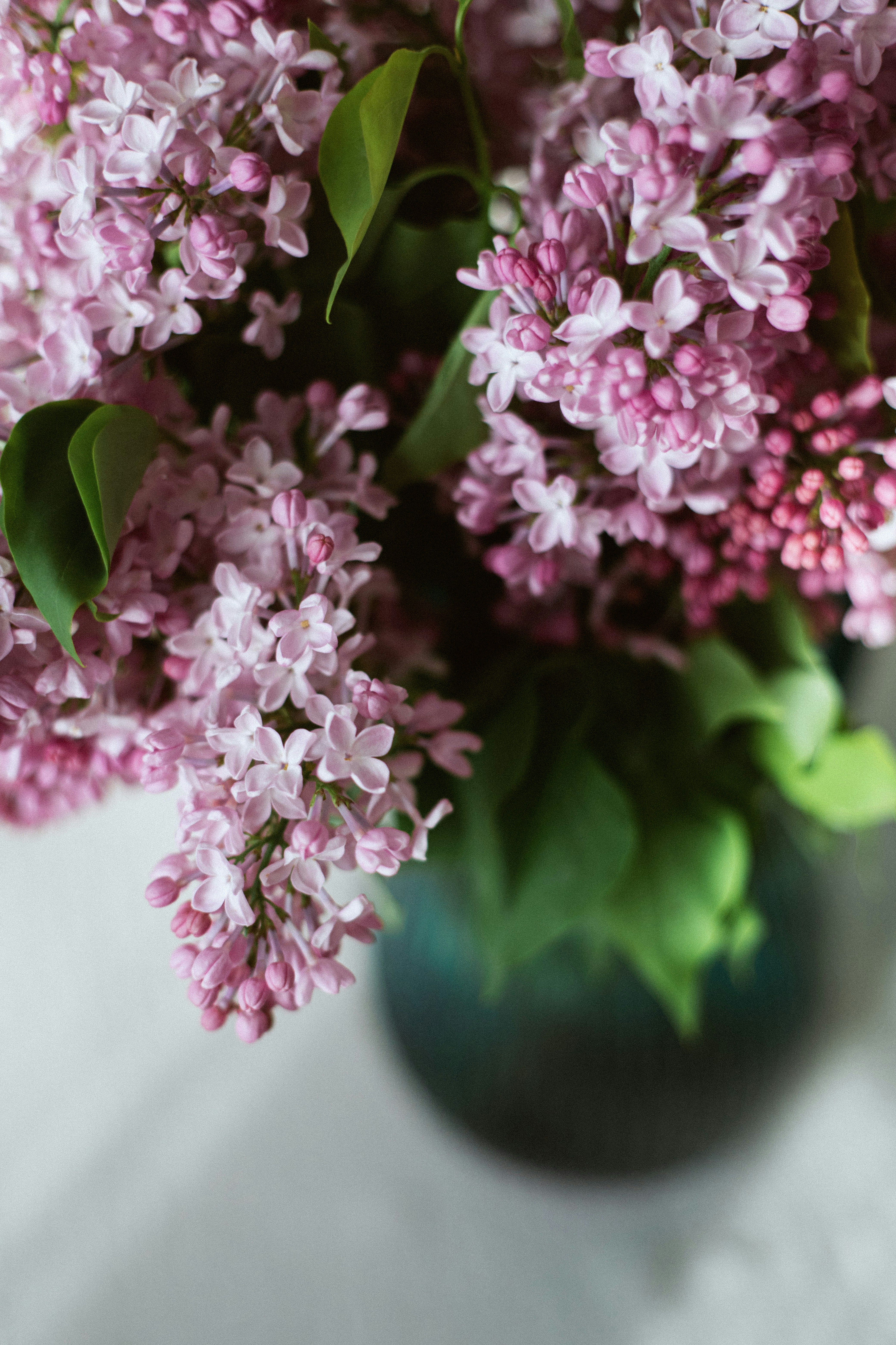 she-died-labellavita