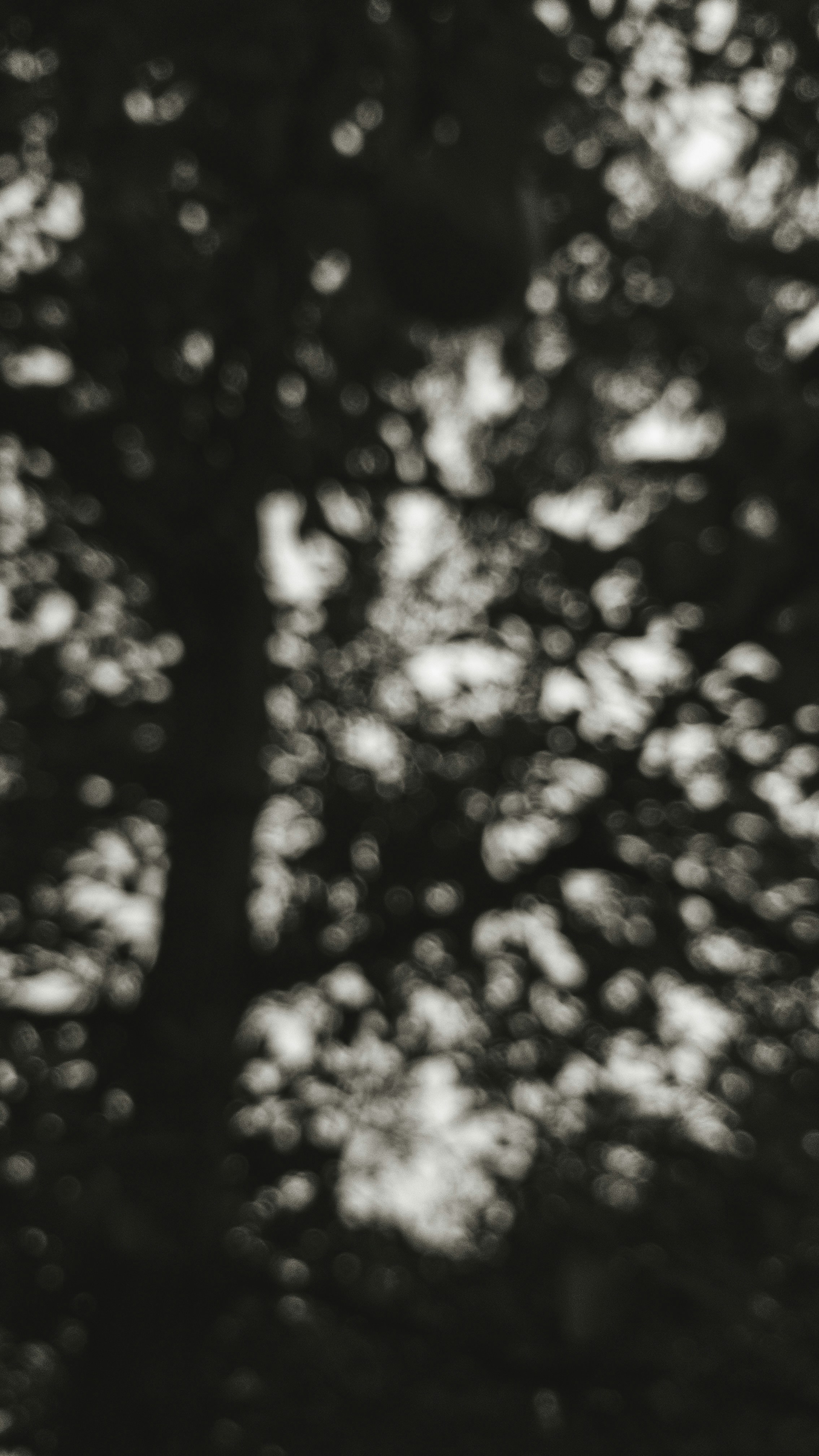 Photo by amritanshdubey