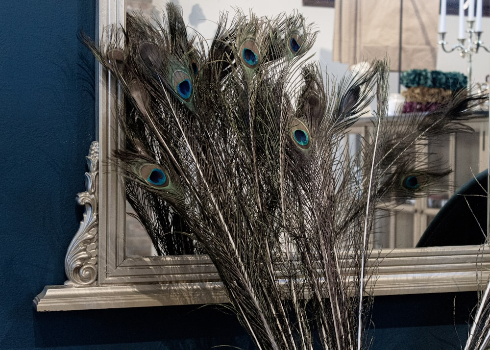 Un jarrón lleno de plumas de pavo real sentado frente a un espejo