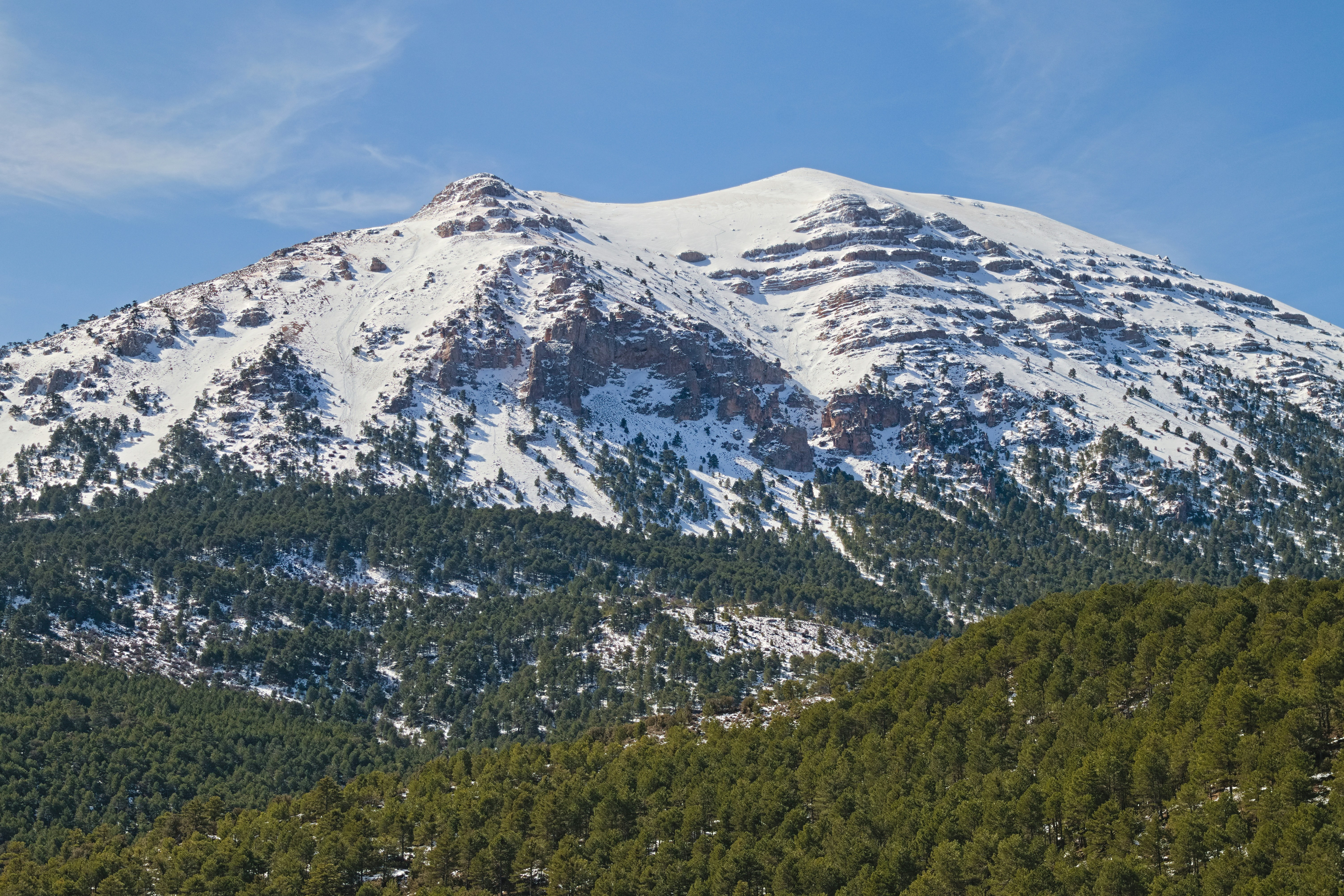 a mountain covered in snow and trees under a blue sky