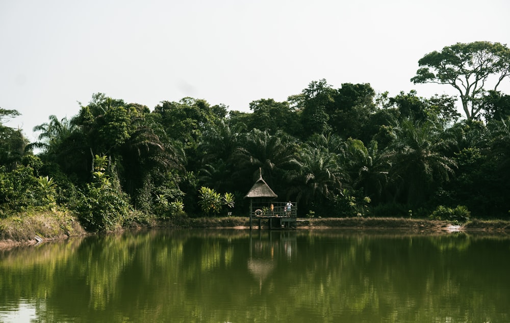 a lake with a hut in the middle of it