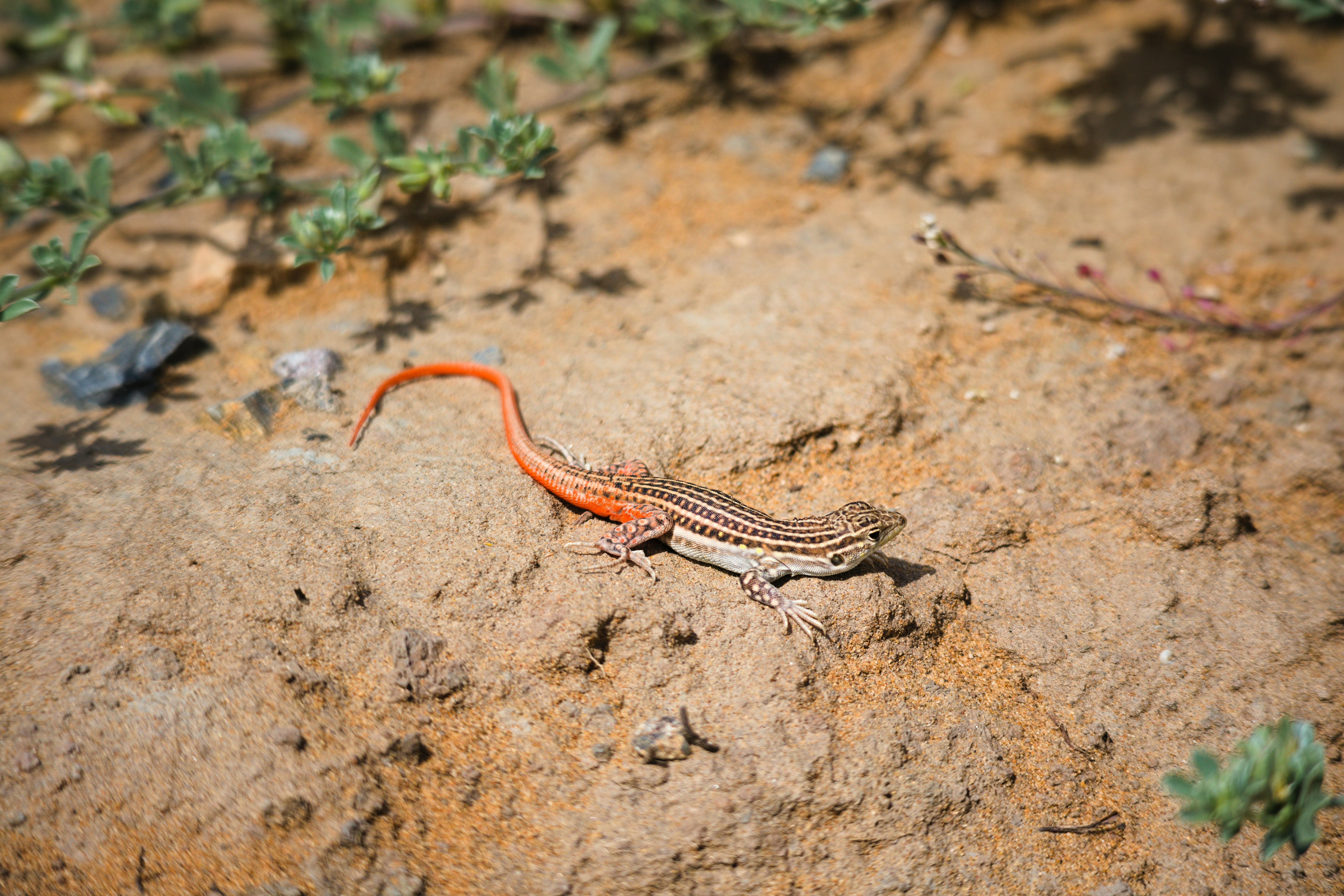 Photo by pedroj_conesa