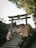A group of people wearing traditional Japanese attire are ascending stone steps leading to a Shinto shrine gate, surrounded by lush greenery. The torii gate is prominently displayed, with a wooden plaque hanging in the center and wooden décor underneath. Signs with Japanese characters are visible alongside the steps.