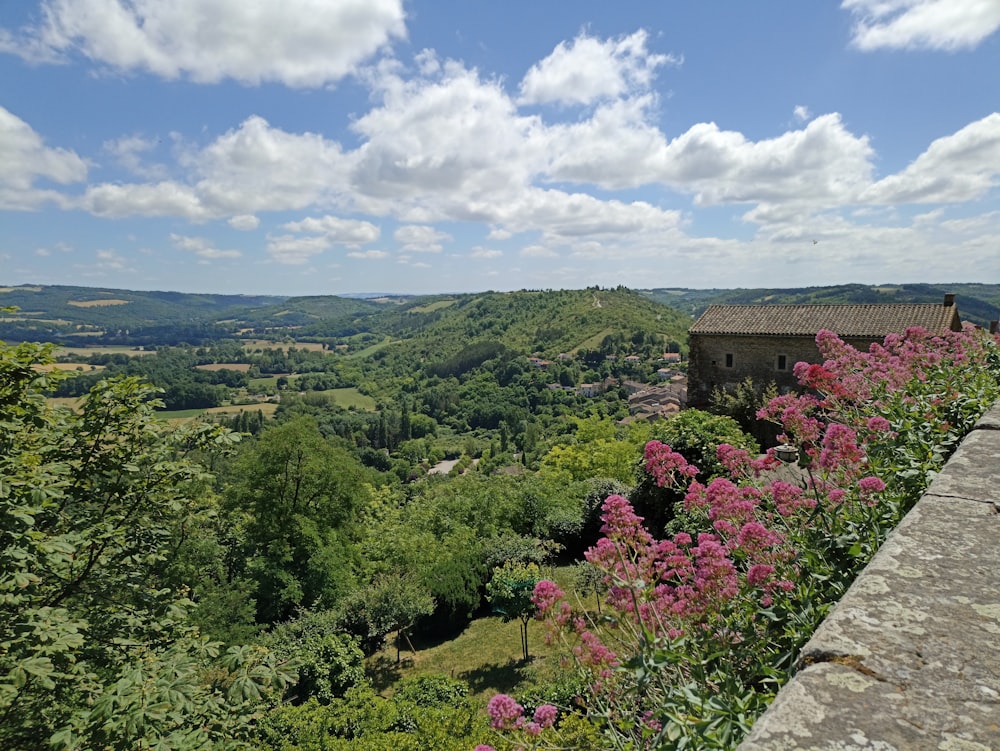 uma vista panorâmica de um vale verde exuberante