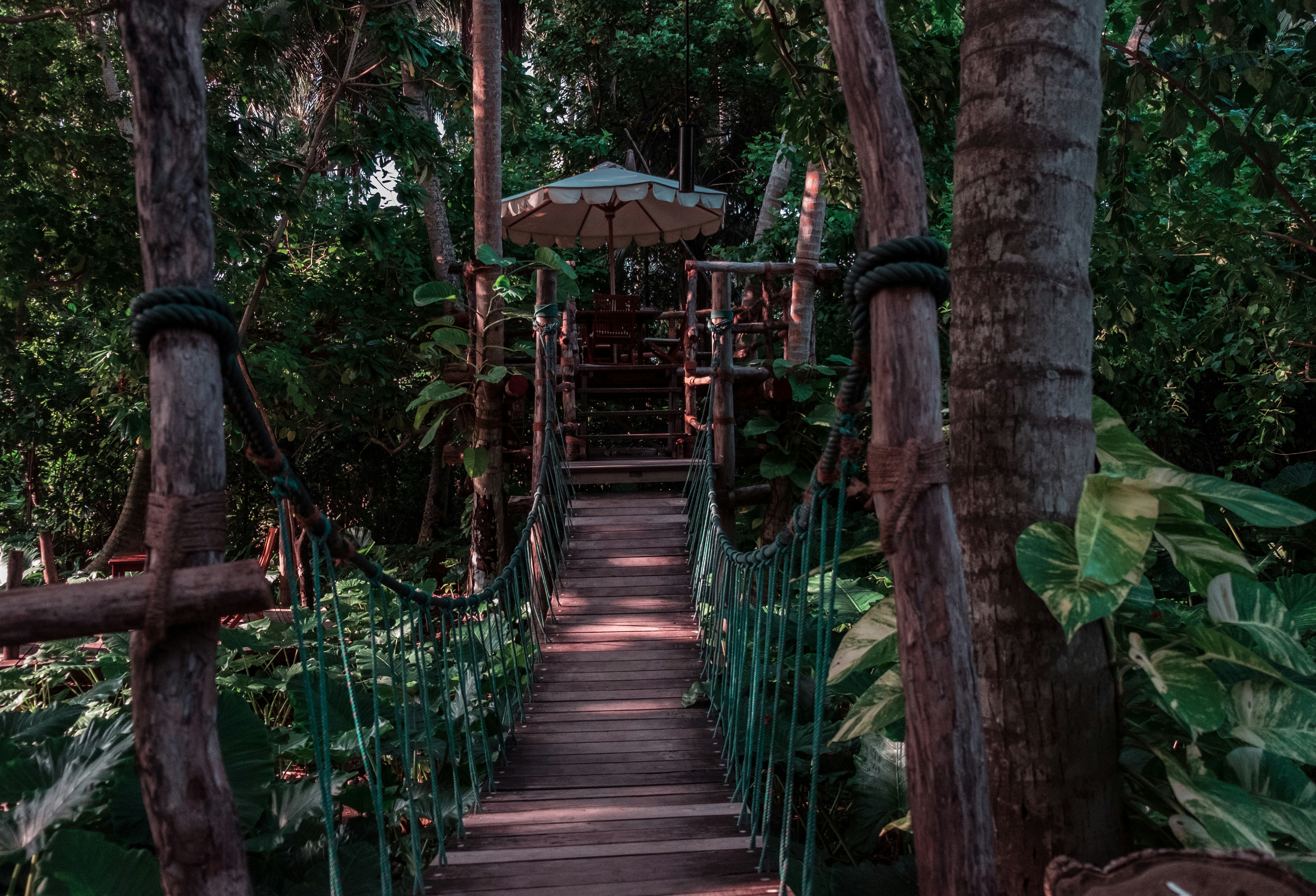 Photo by mo_design_3d