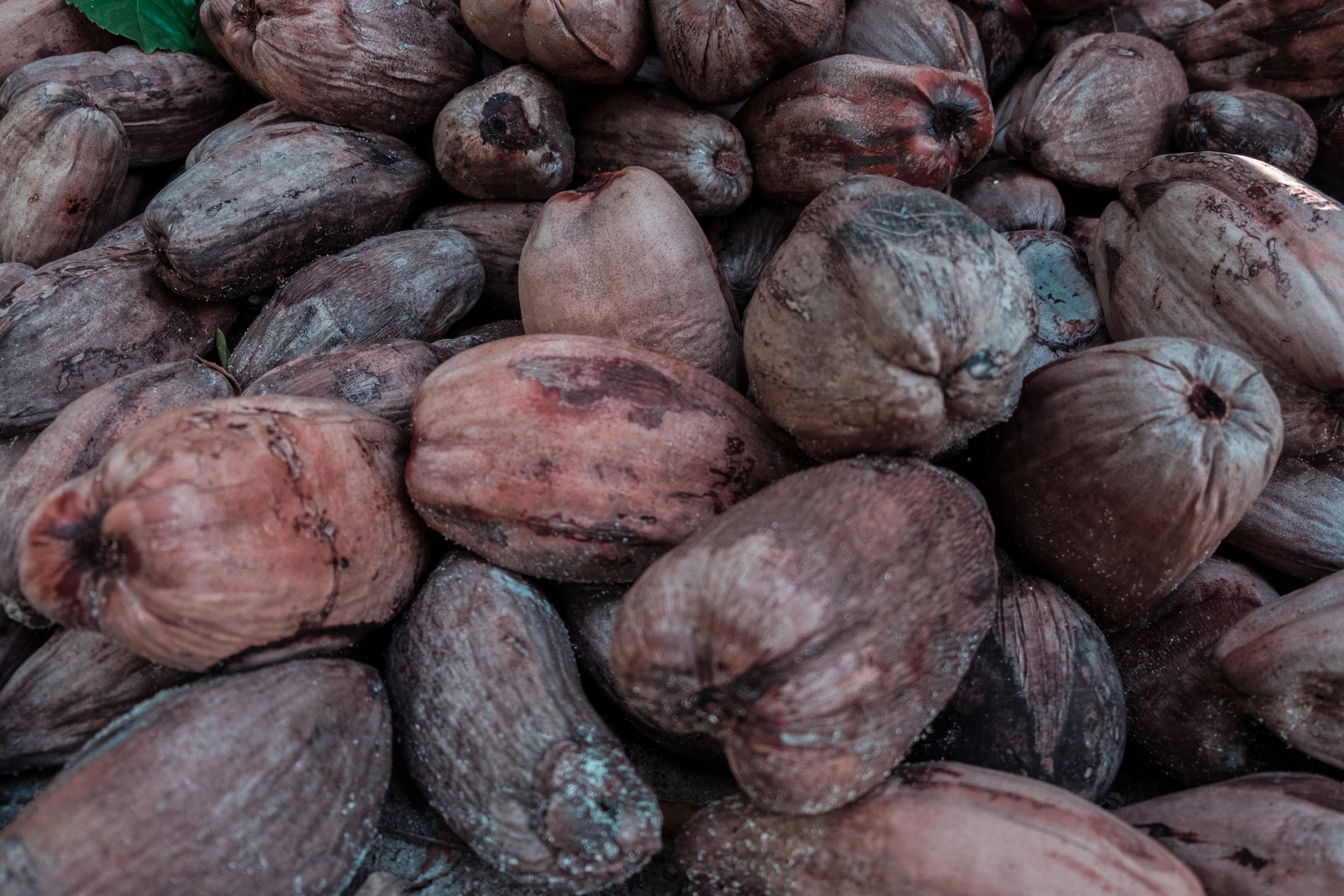 Photo by mo_design_3d