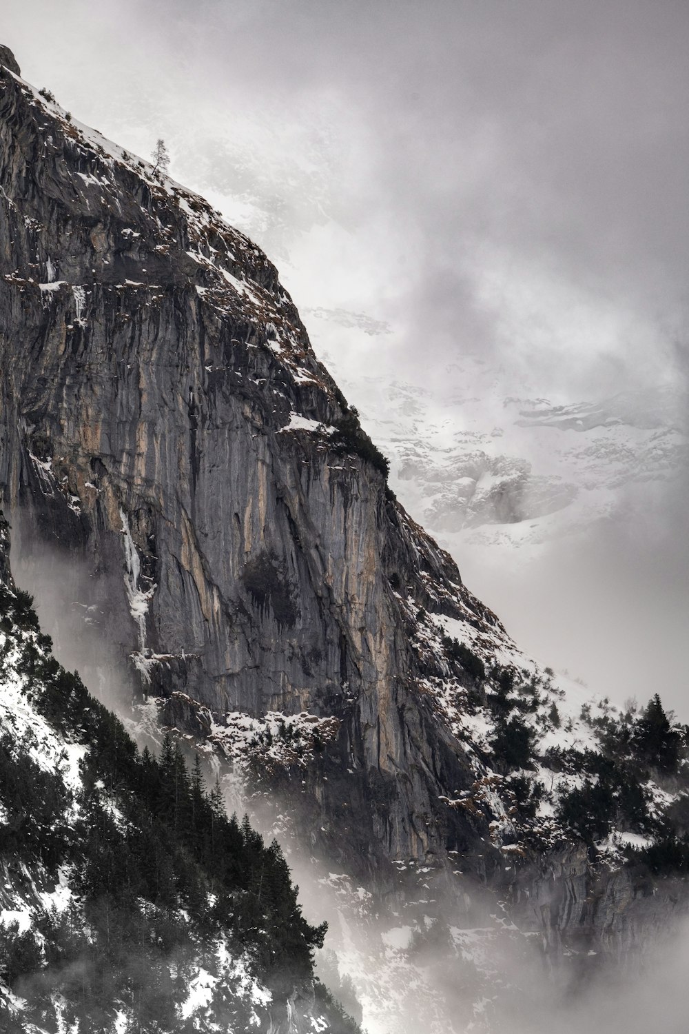 a mountain covered in snow next to a forest