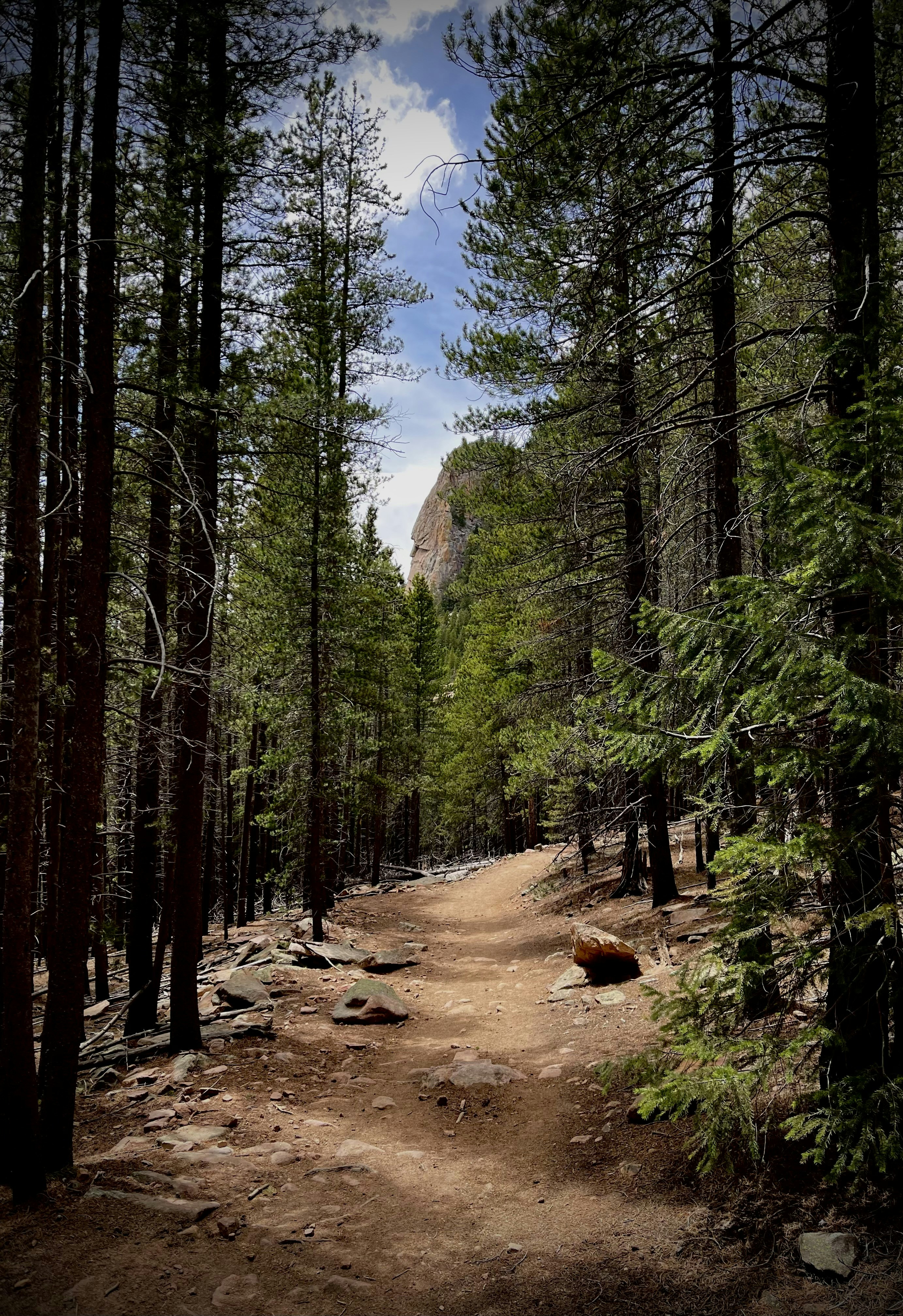 Photo by laitonbarbo