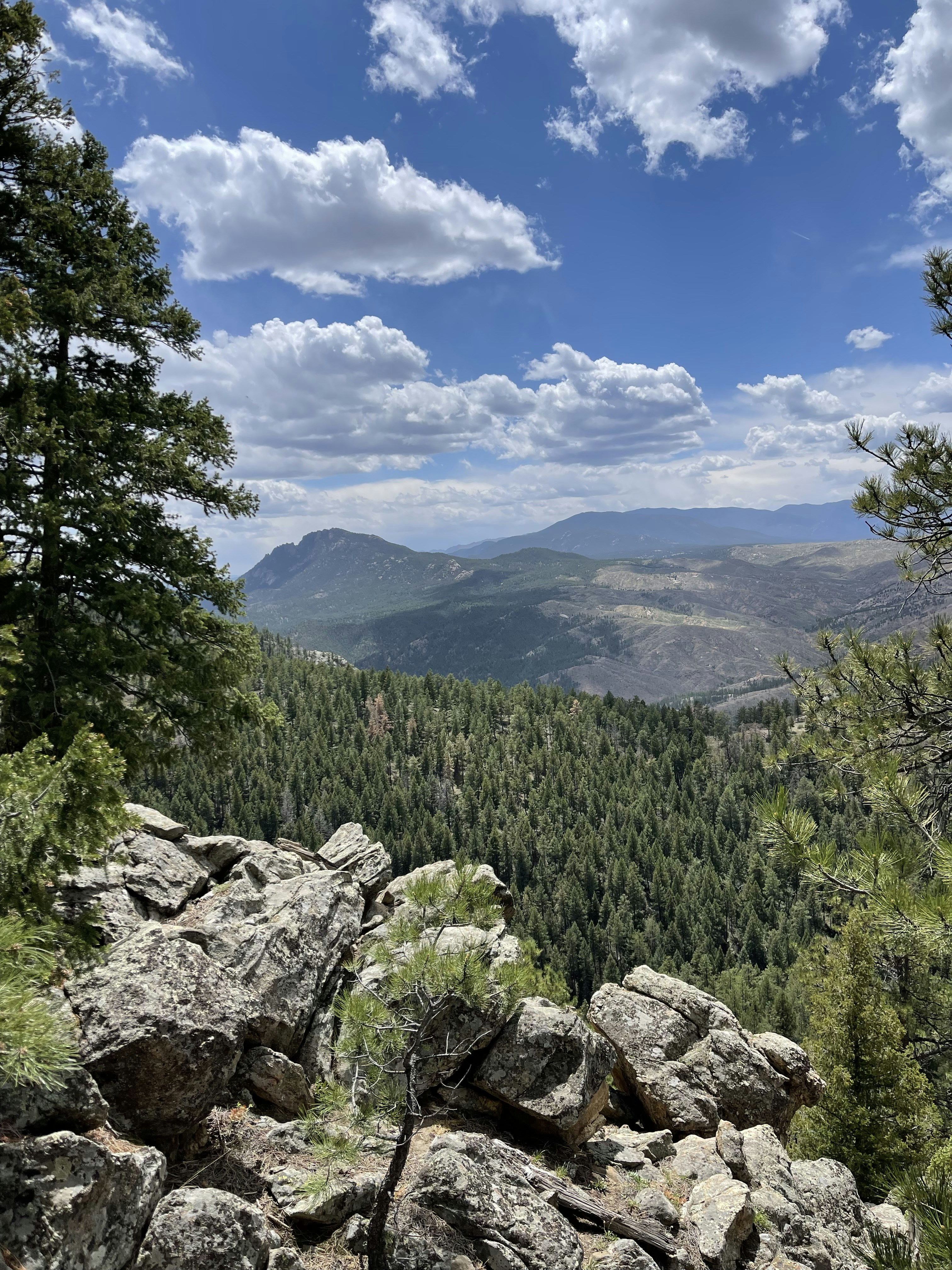 Photo by laitonbarbo