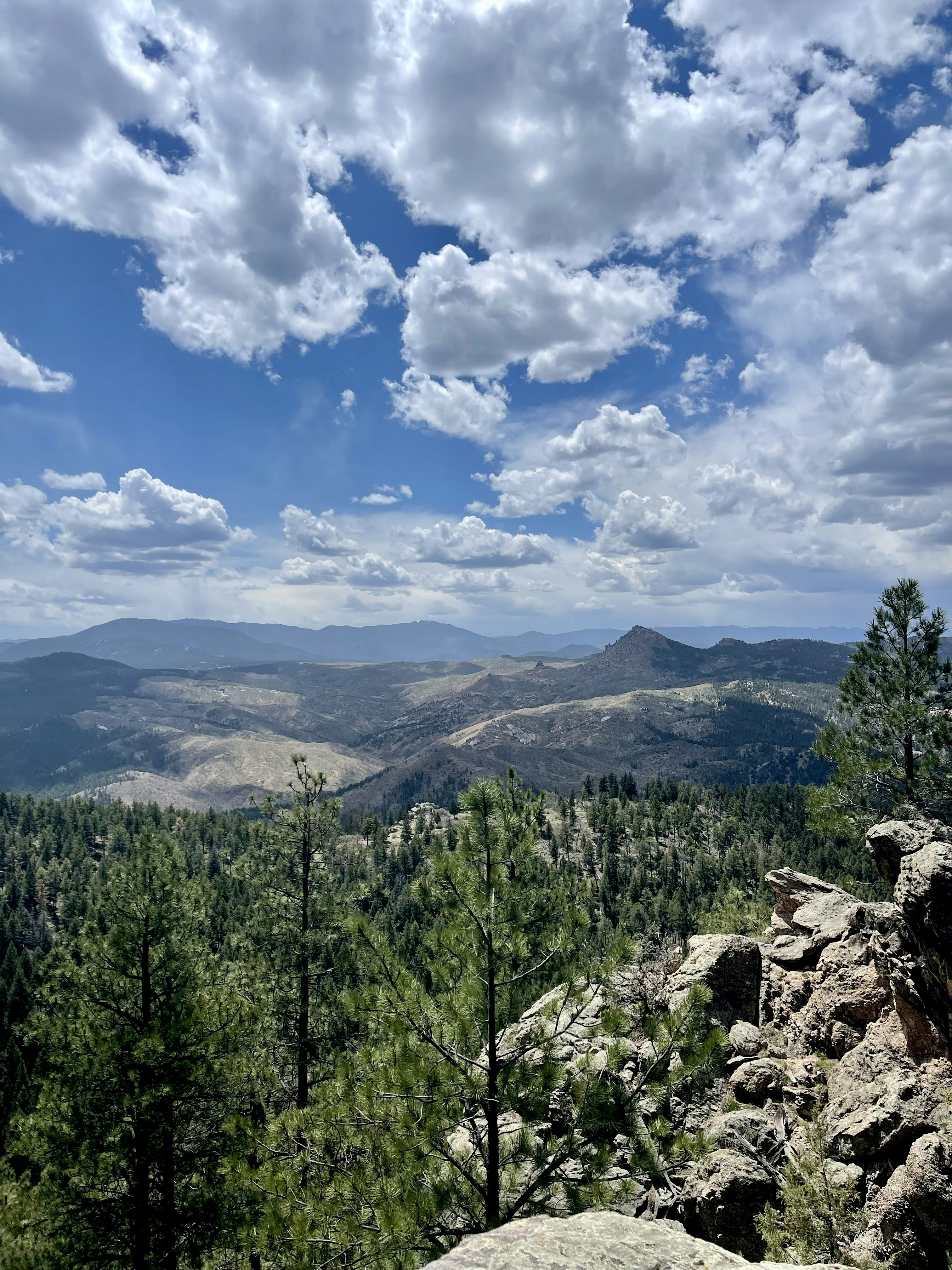 Photo by laitonbarbo