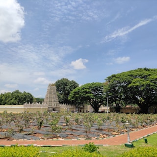 A peaceful temple in Kerala surrounded by blooming flowers and traditional architecture.