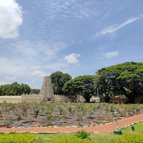 A peaceful temple in Kerala surrounded by blooming flowers and traditional architecture.
