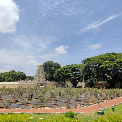 A traditional temple with ornate architecture stands amidst a landscaped garden. The foreground showcases a rose garden with organized rows of plants, bordered by well-maintained pathways. Large, lush trees flank the temple on one side, and the sky above is a bright blue with scattered clouds.