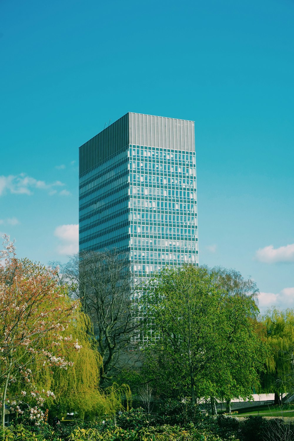 a very tall building sitting in the middle of a park