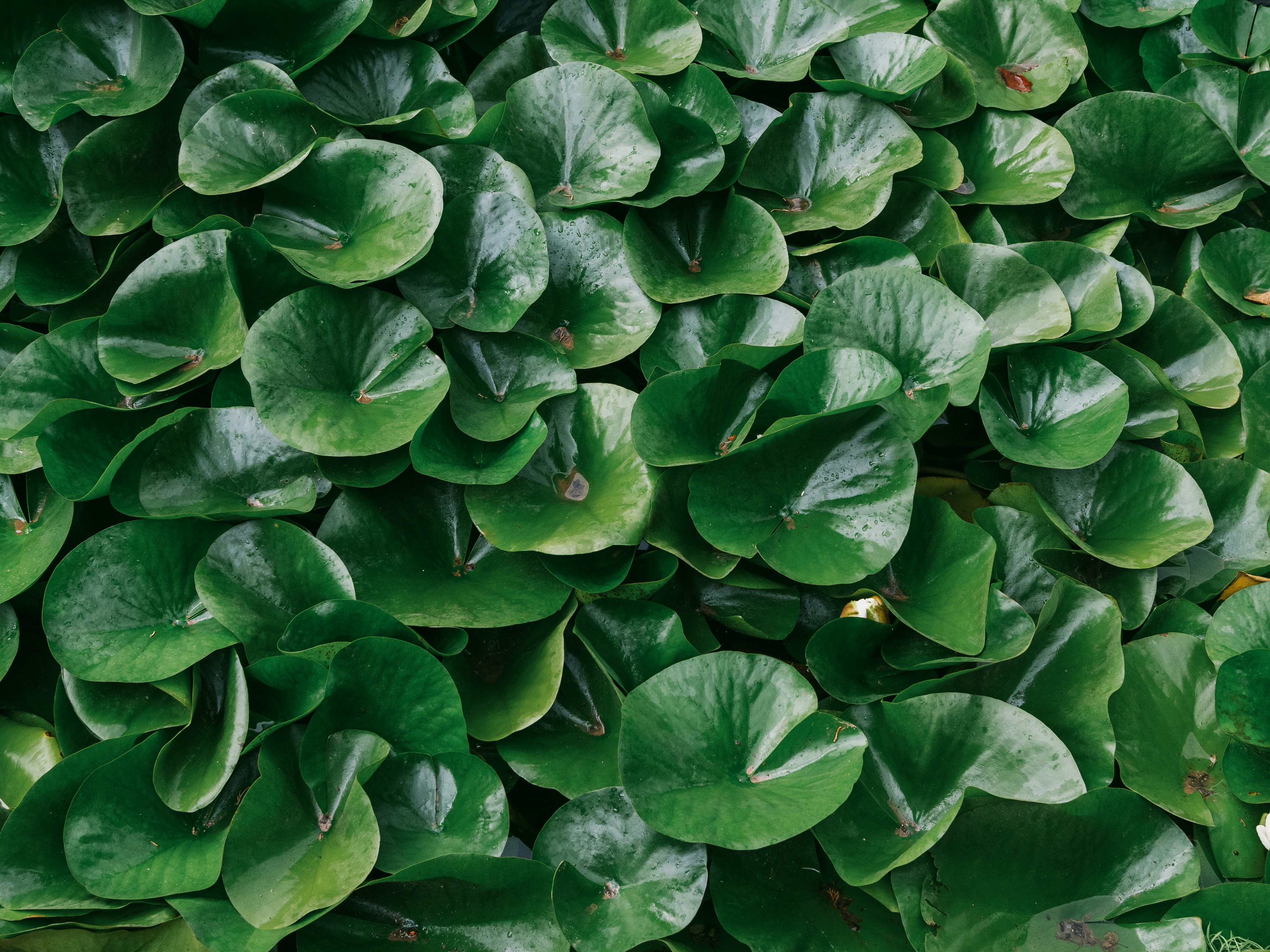 Photo by zero_esthetic