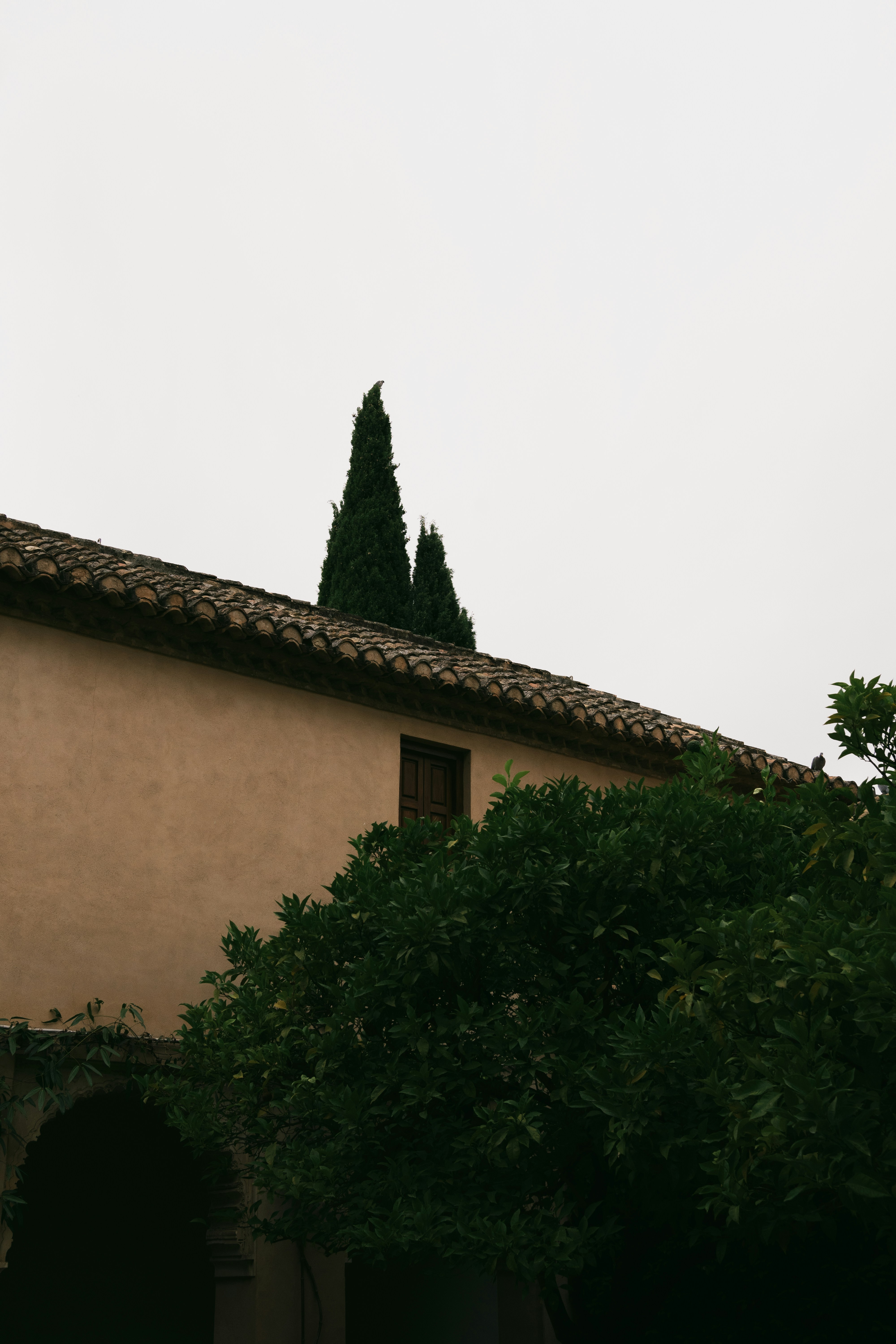 Photo by zero_esthetic