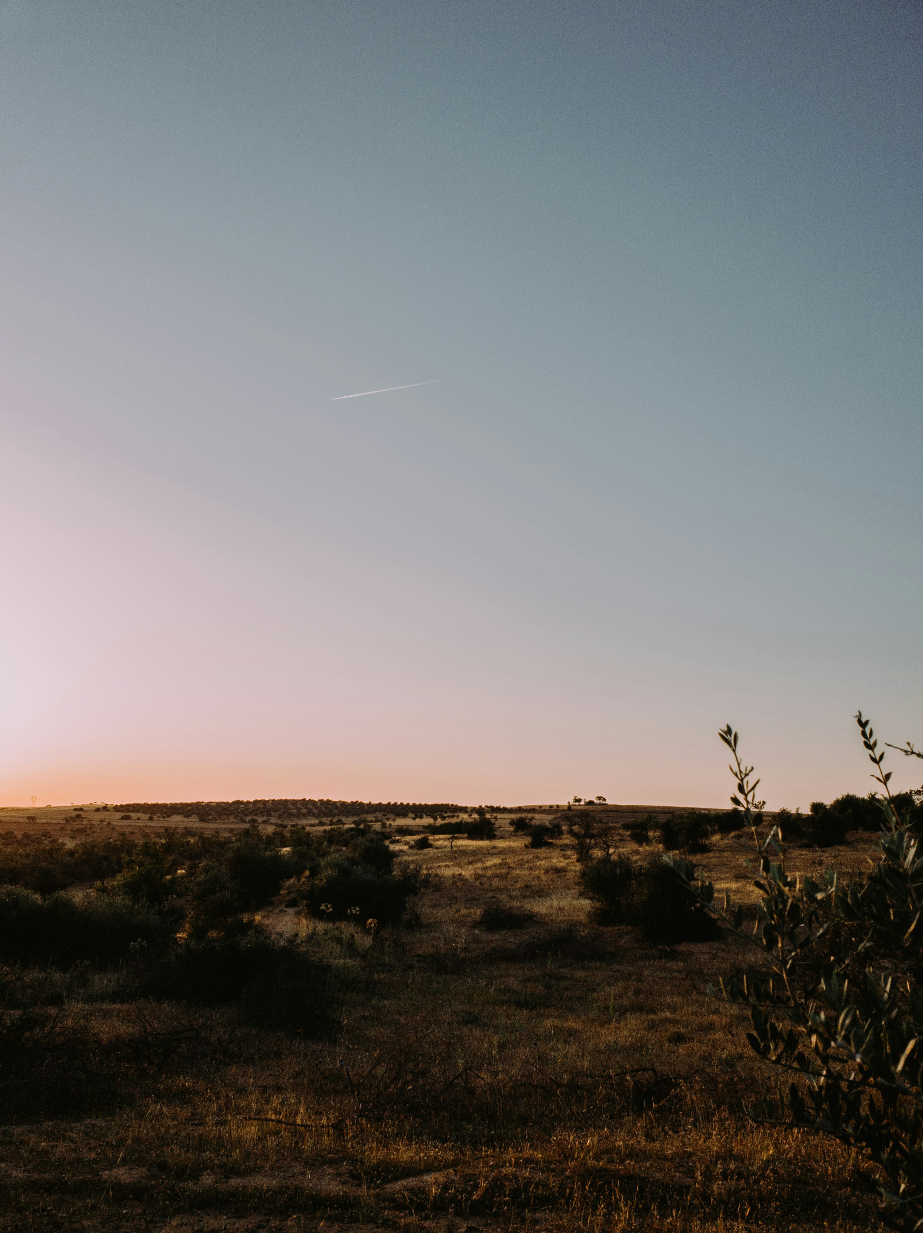 Photo by bilal_ayadi