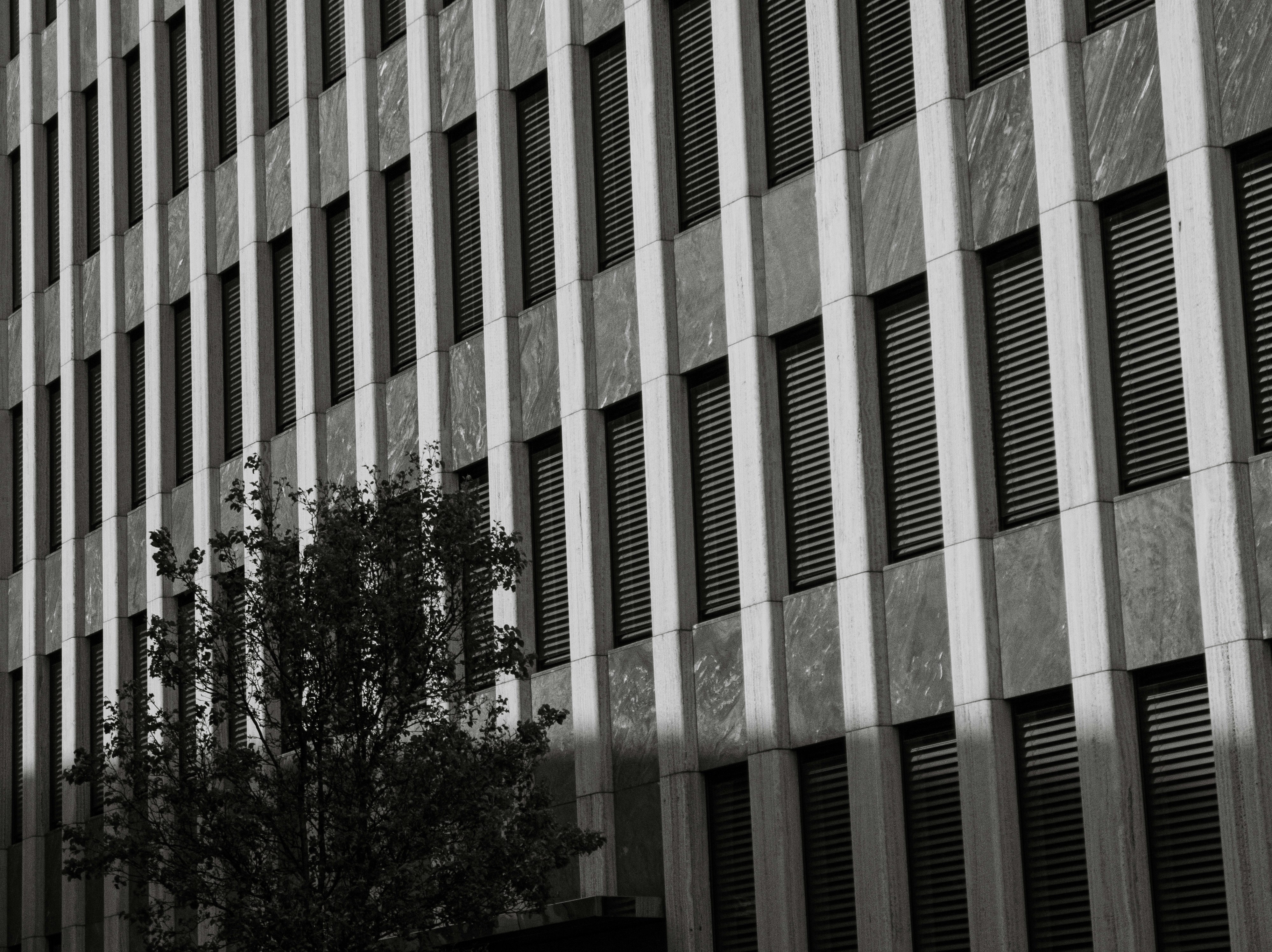 Photo by alexmuromtsev