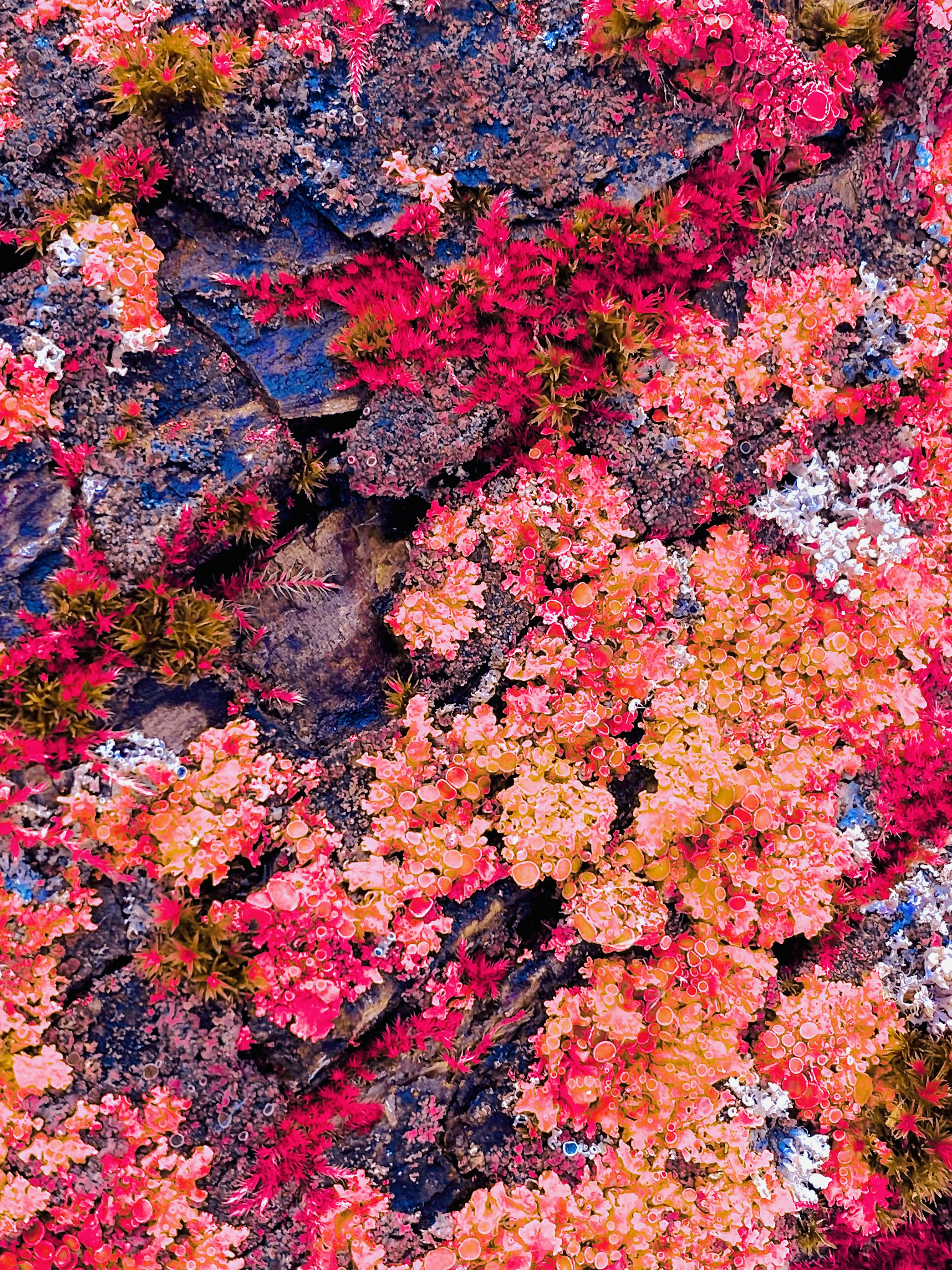 Photo by eugene_golovesov