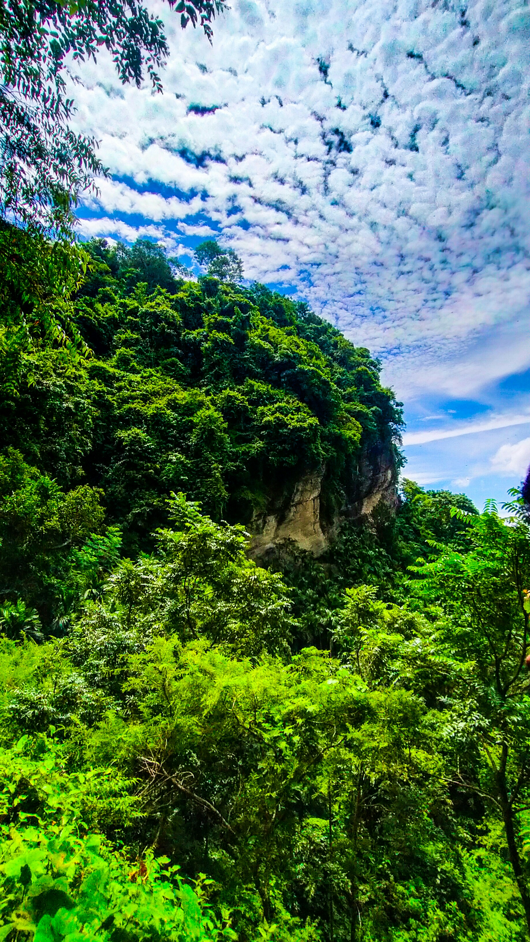 Chandranath Hill photo 2