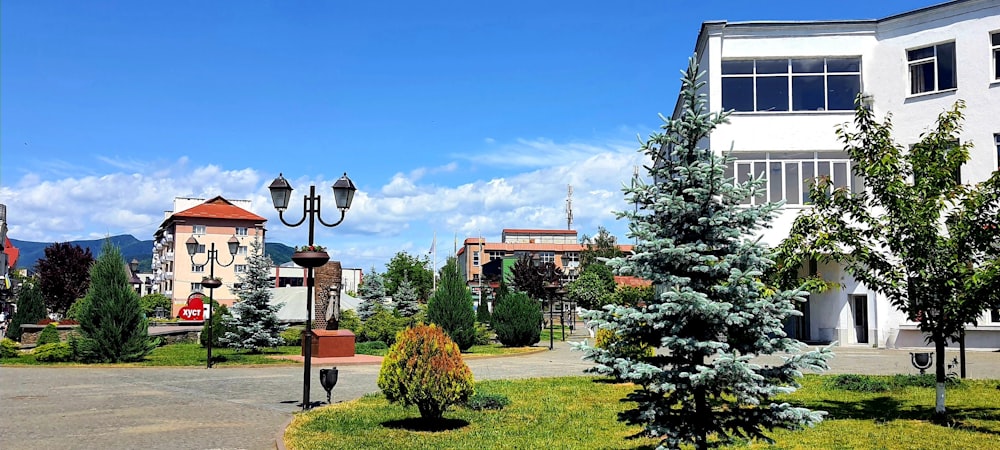 a street with a lot of trees and buildings in the background