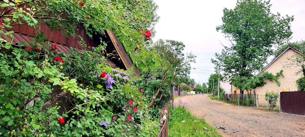 a dirt road next to a house with flowers growing on it