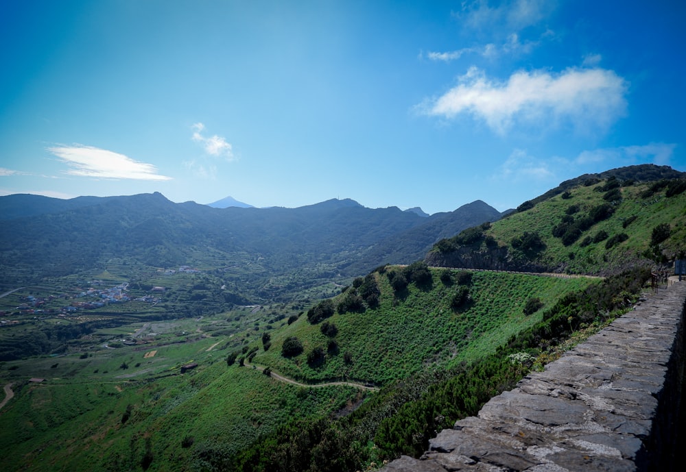 a man standing on top of a lush green hillside