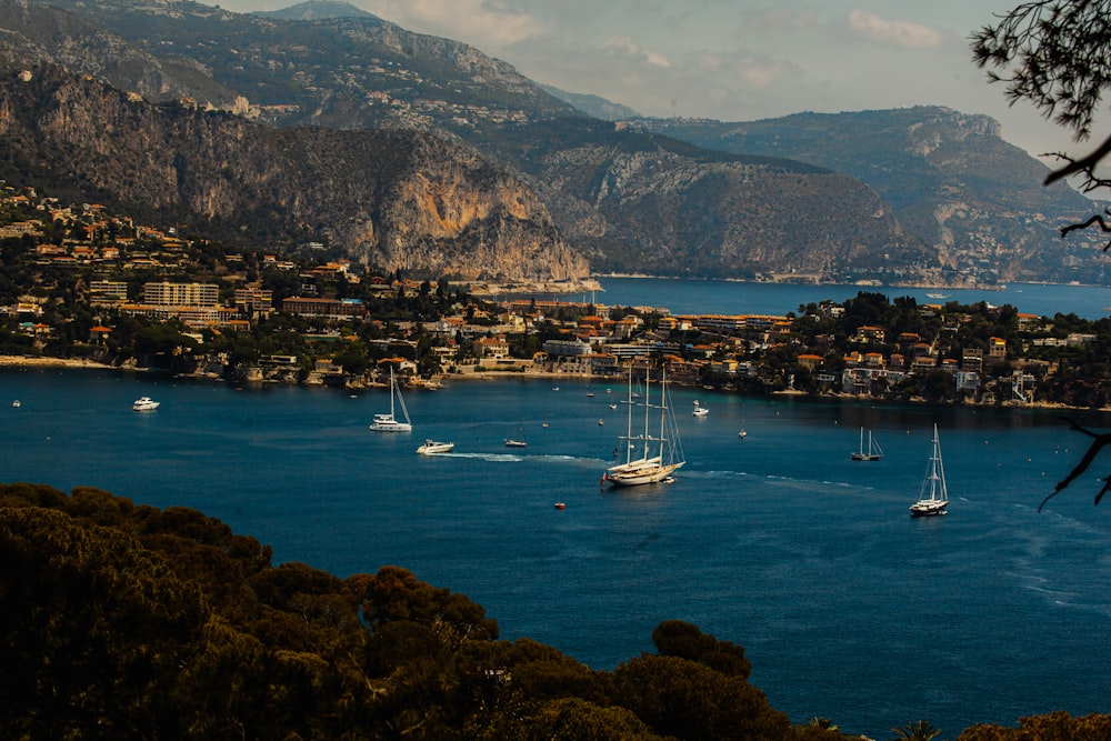 a group of boats floating on top of a body of water