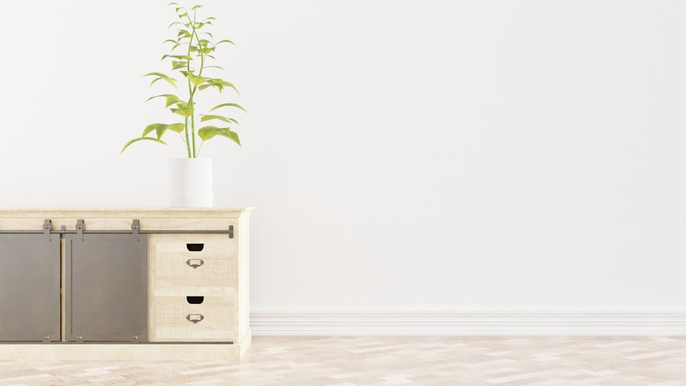 a plant sitting on top of a wooden cabinet