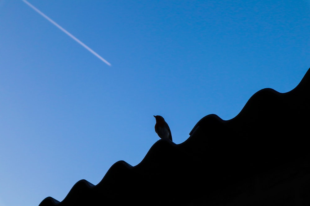 a bird sitting on top of a roof under a blue sky