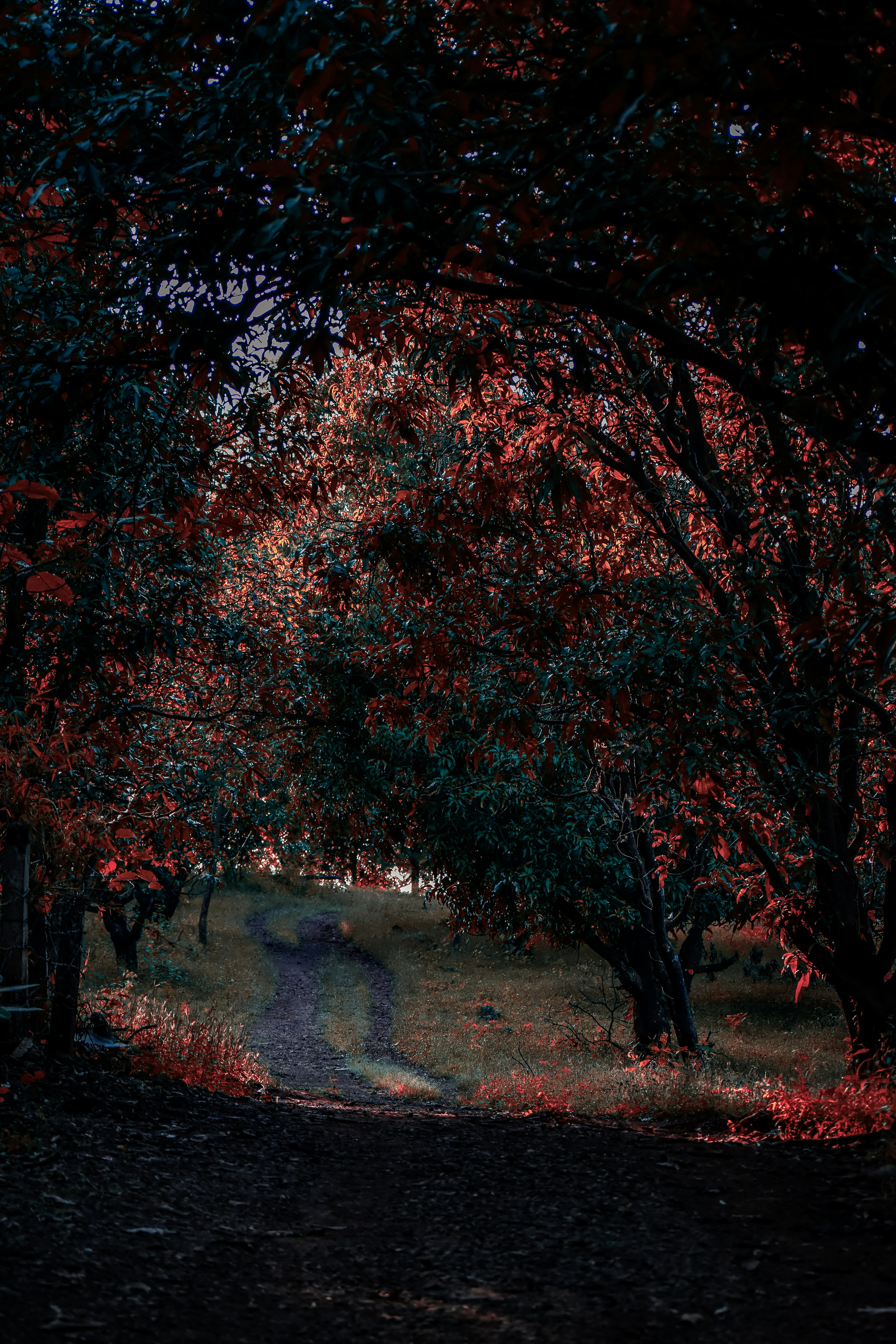 Photo by _globetrotter_03