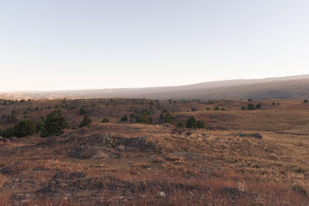 a grassy field with trees and mountains in the background