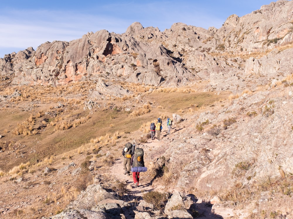 a group of people hiking up a mountain