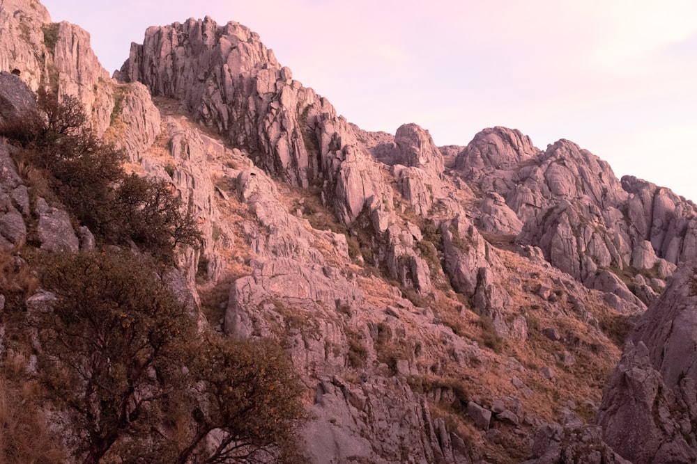 a rocky mountain with a few trees growing out of it