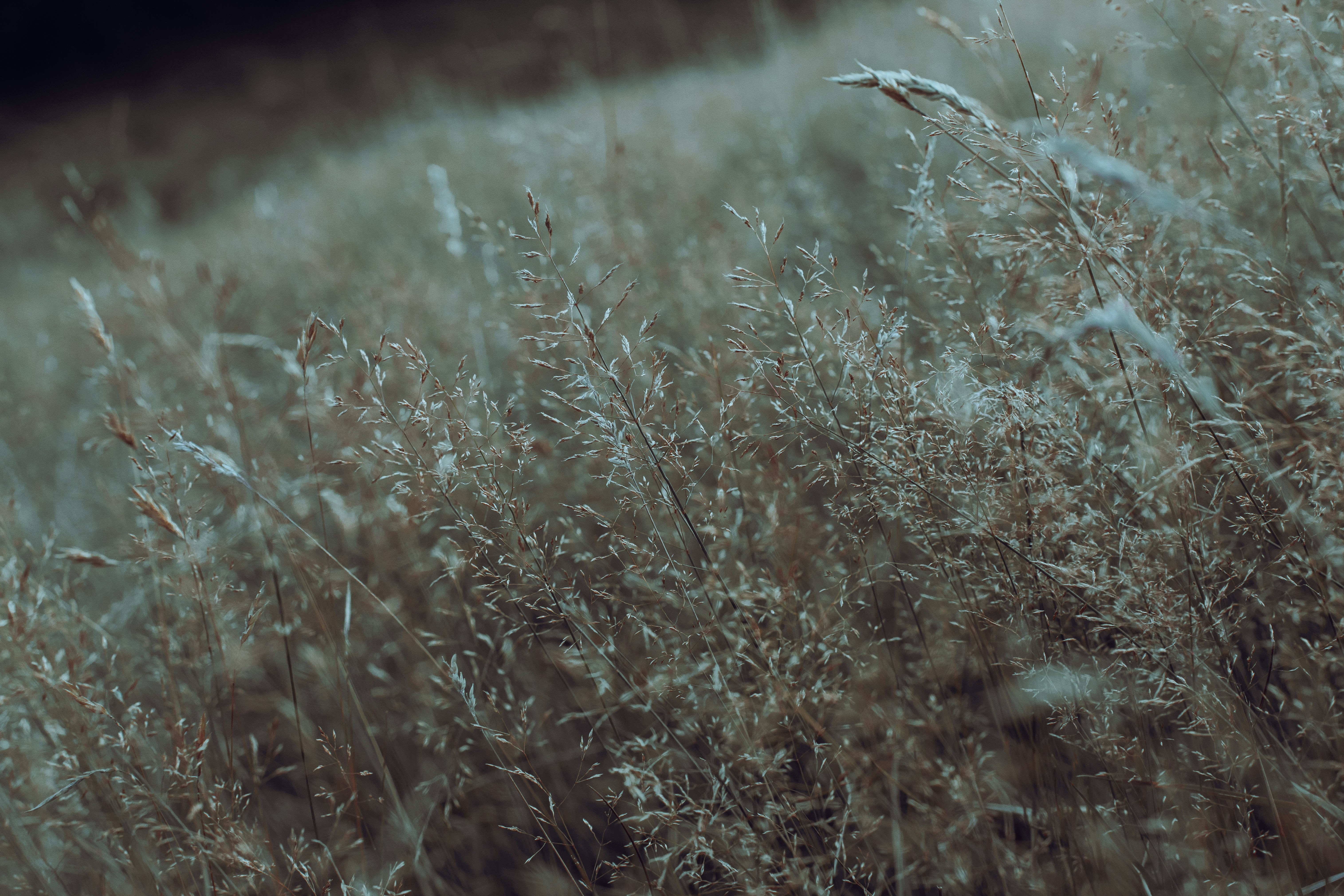 Photo by mikejerskine