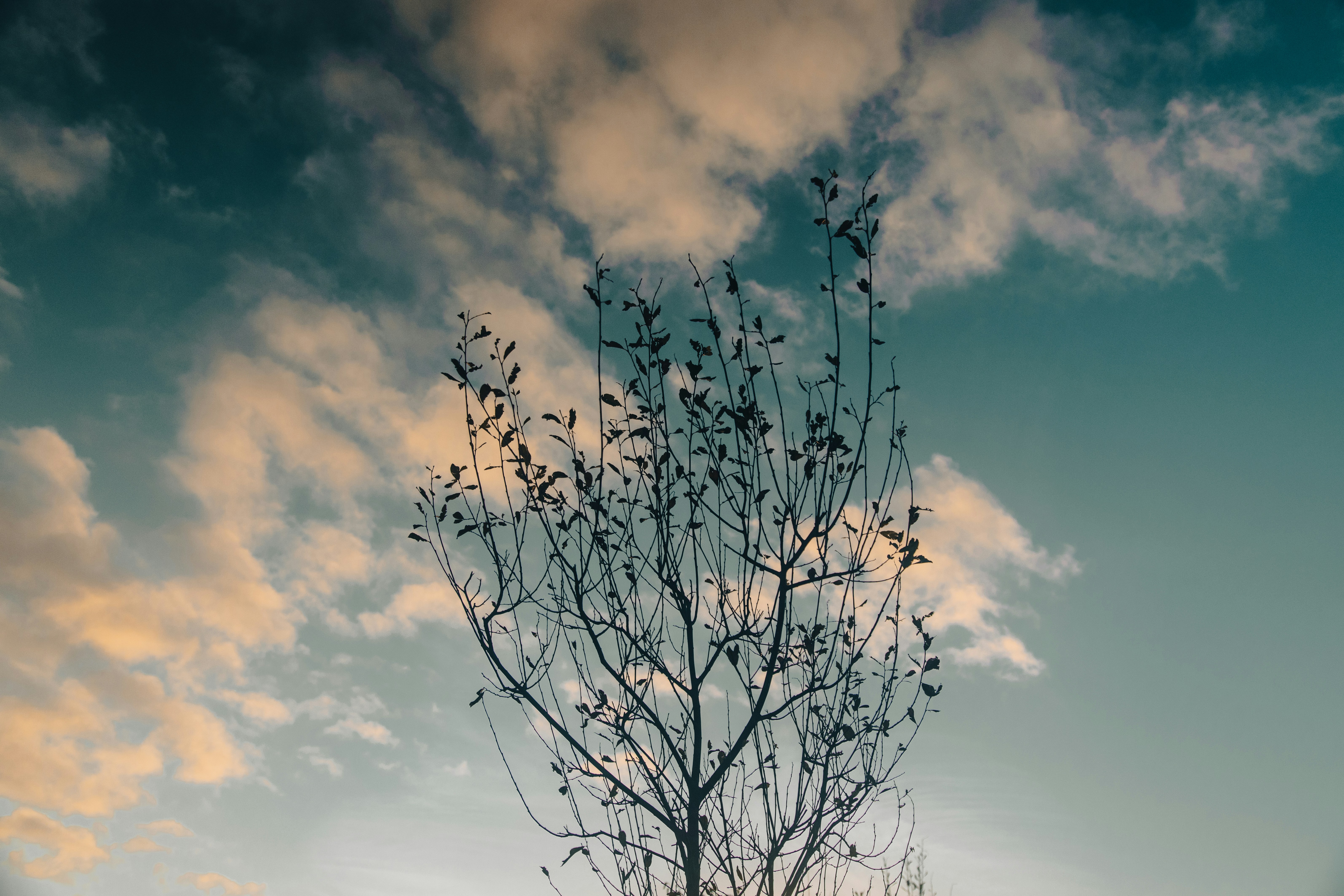 Photo by mikejerskine