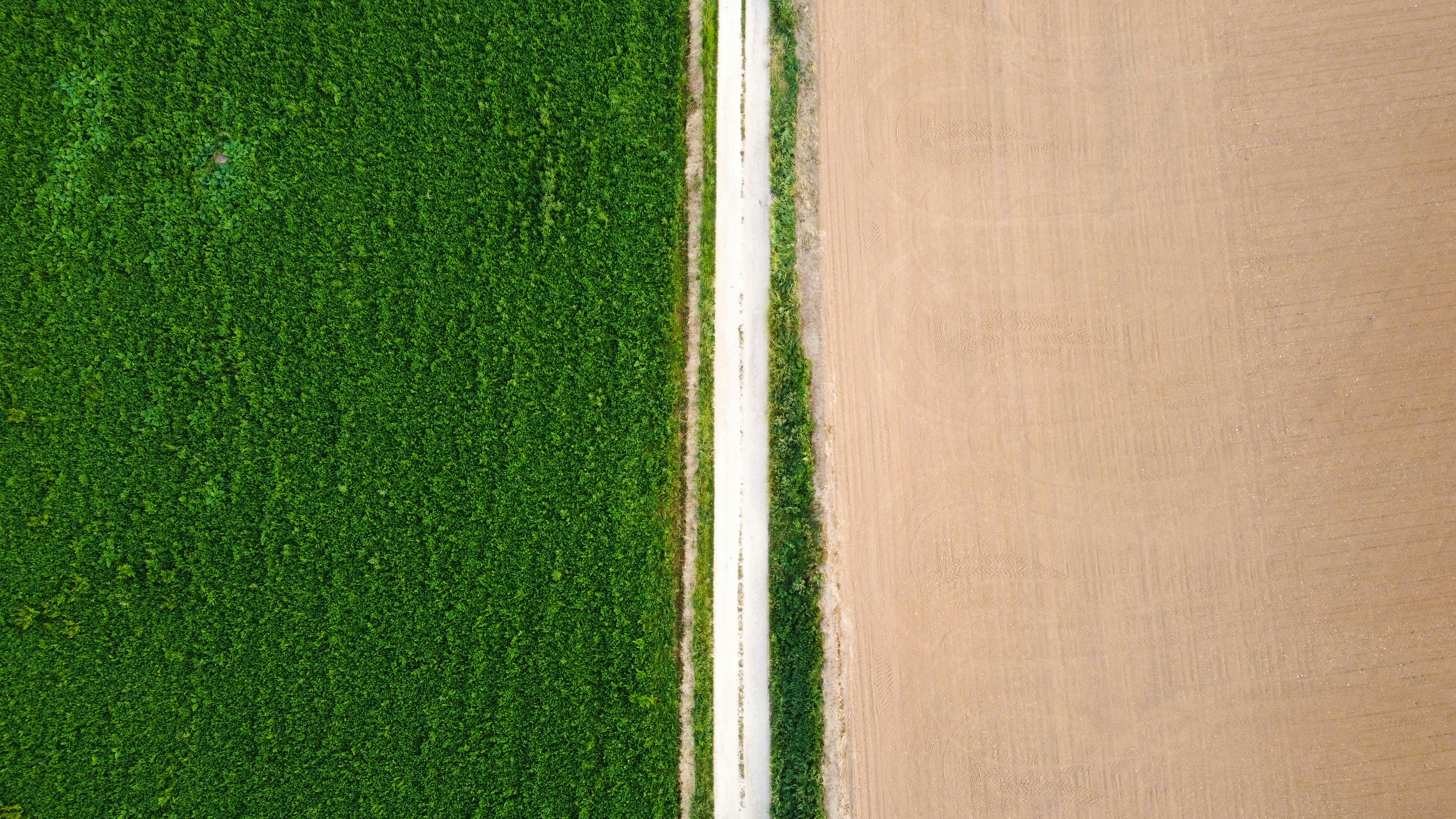 an aerial view of a green field and a dirt road, 