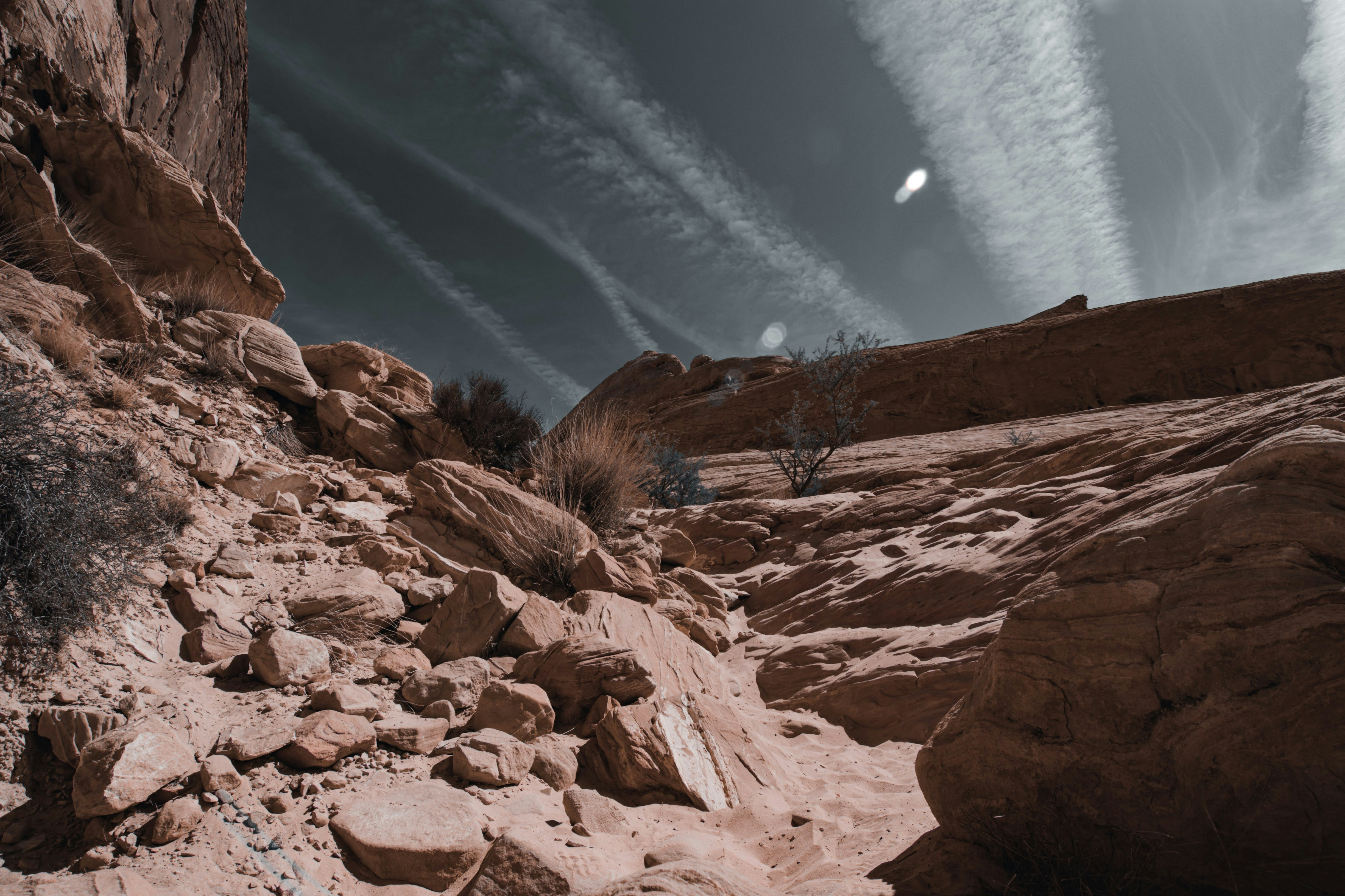 Photo by brice_cooper18