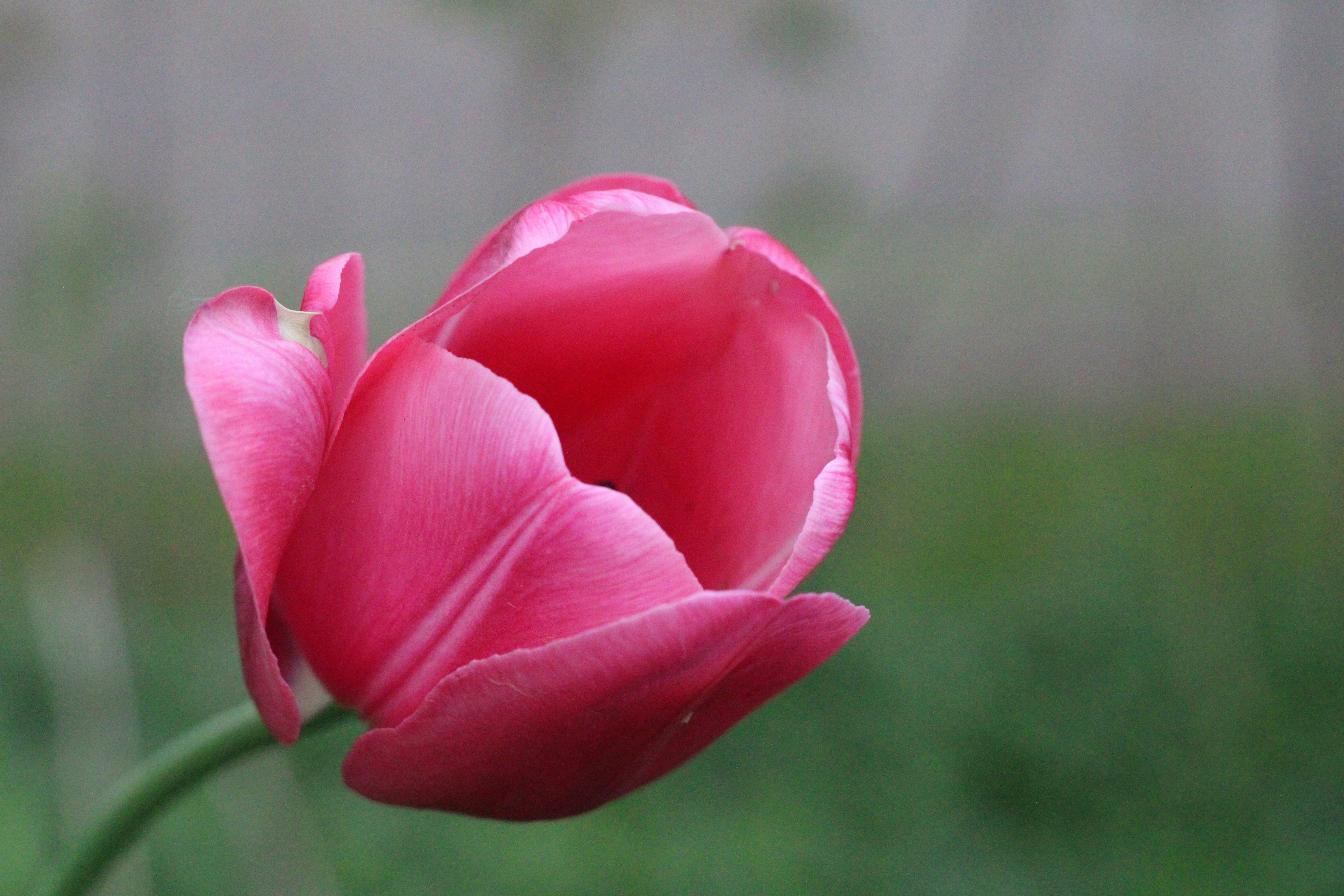 Photo by studerphotography