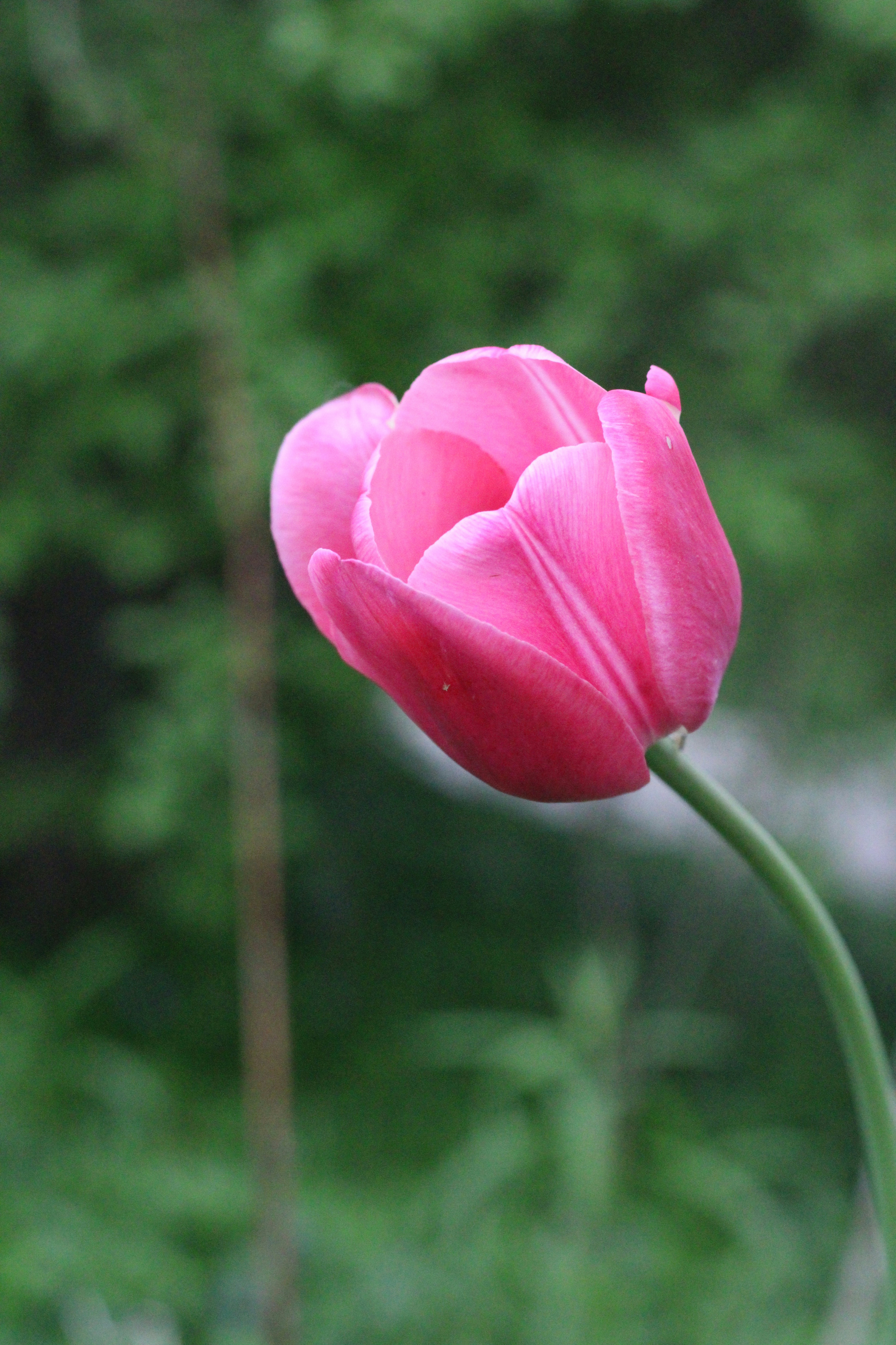 Photo by studerphotography